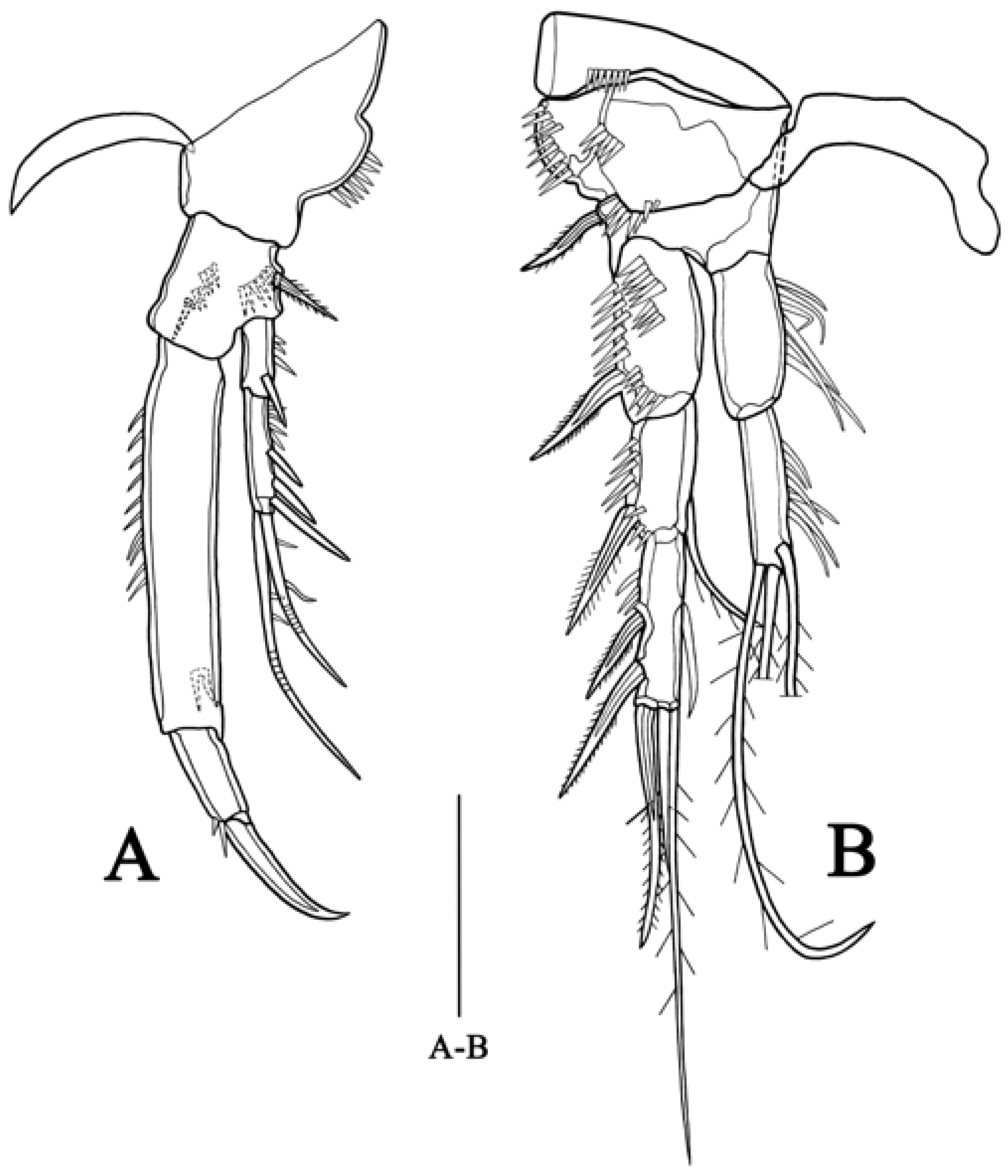 Biology 14 00271 g004