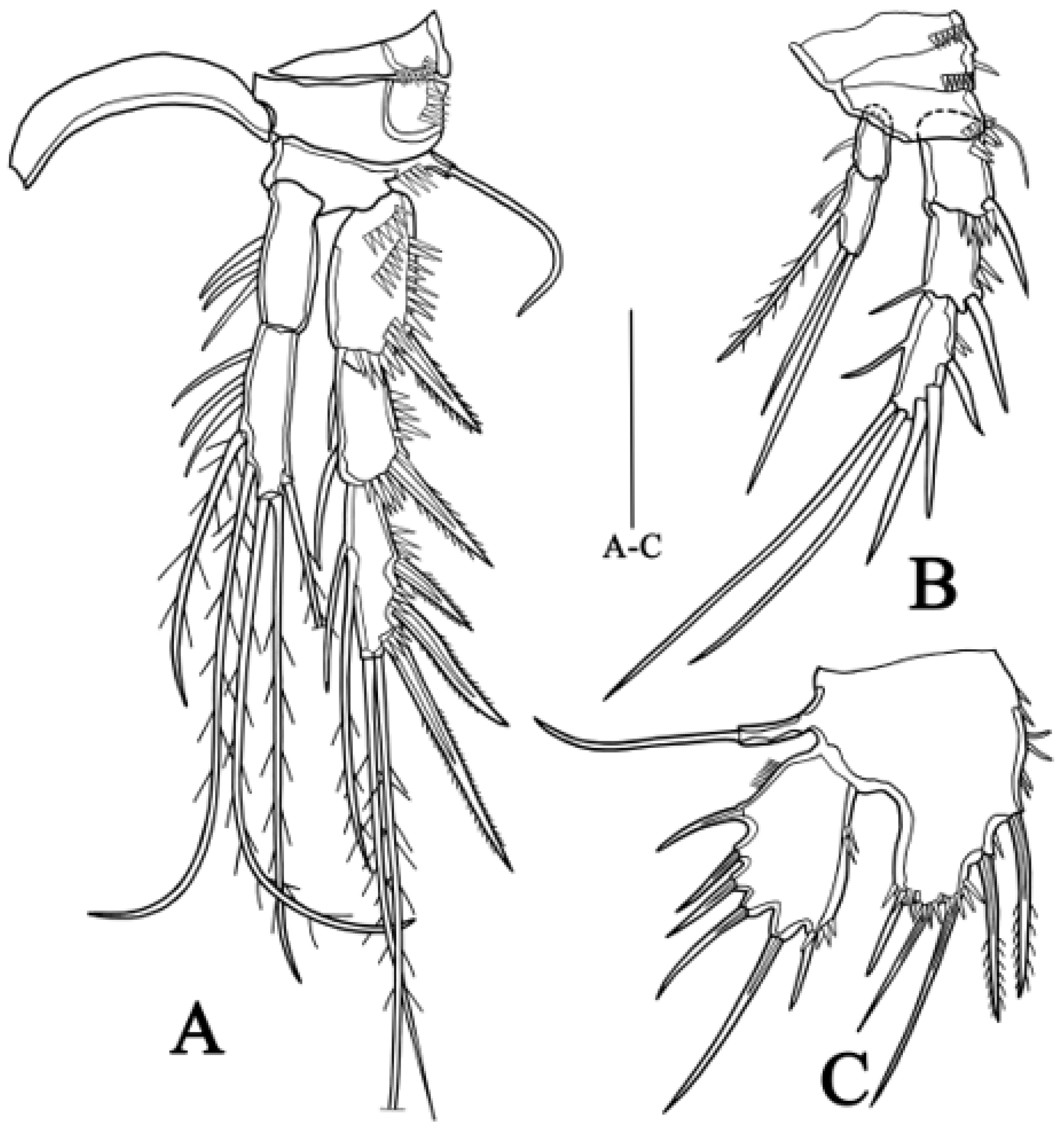 Biology 14 00271 g005