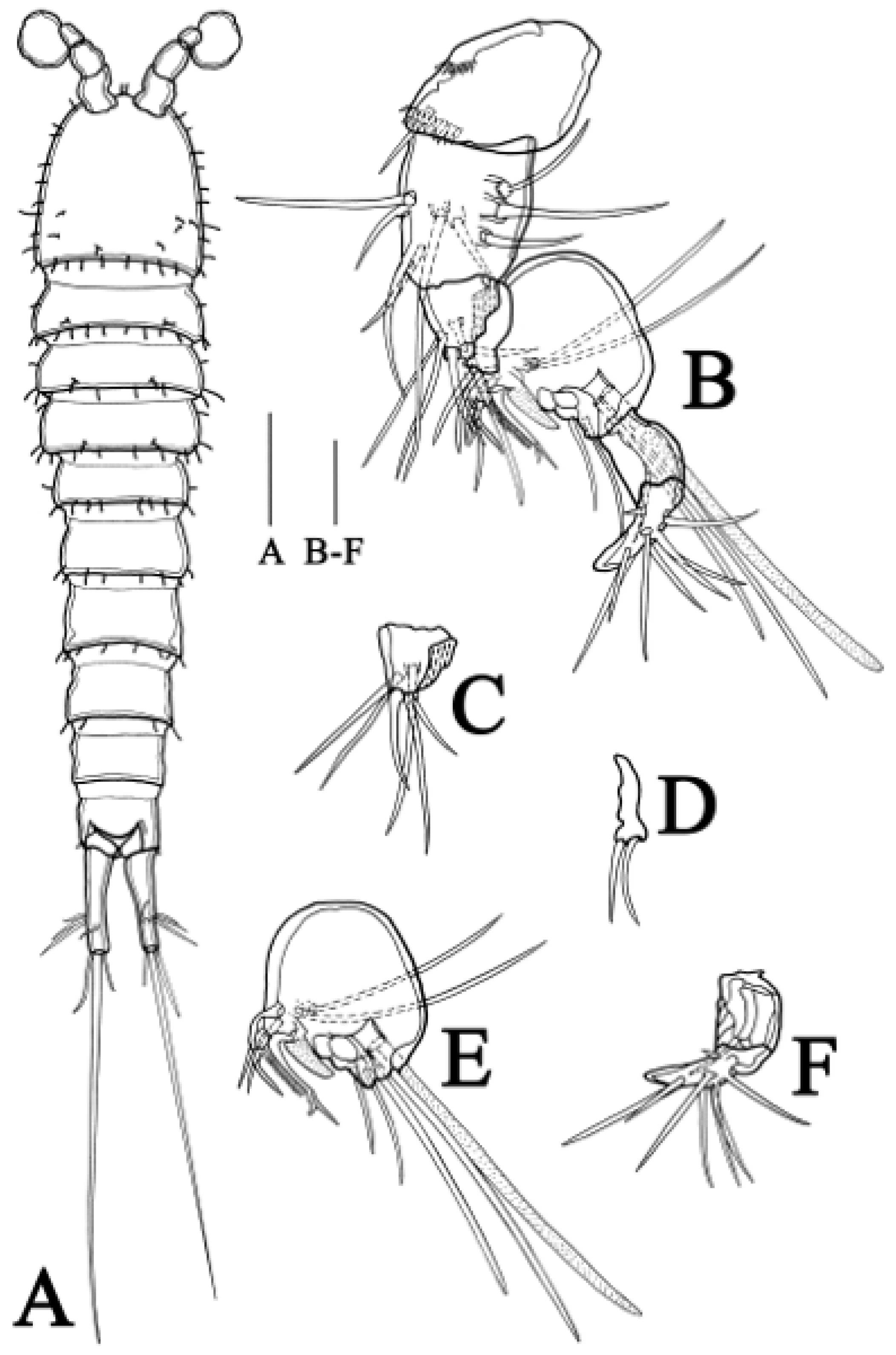 Biology 14 00271 g006
