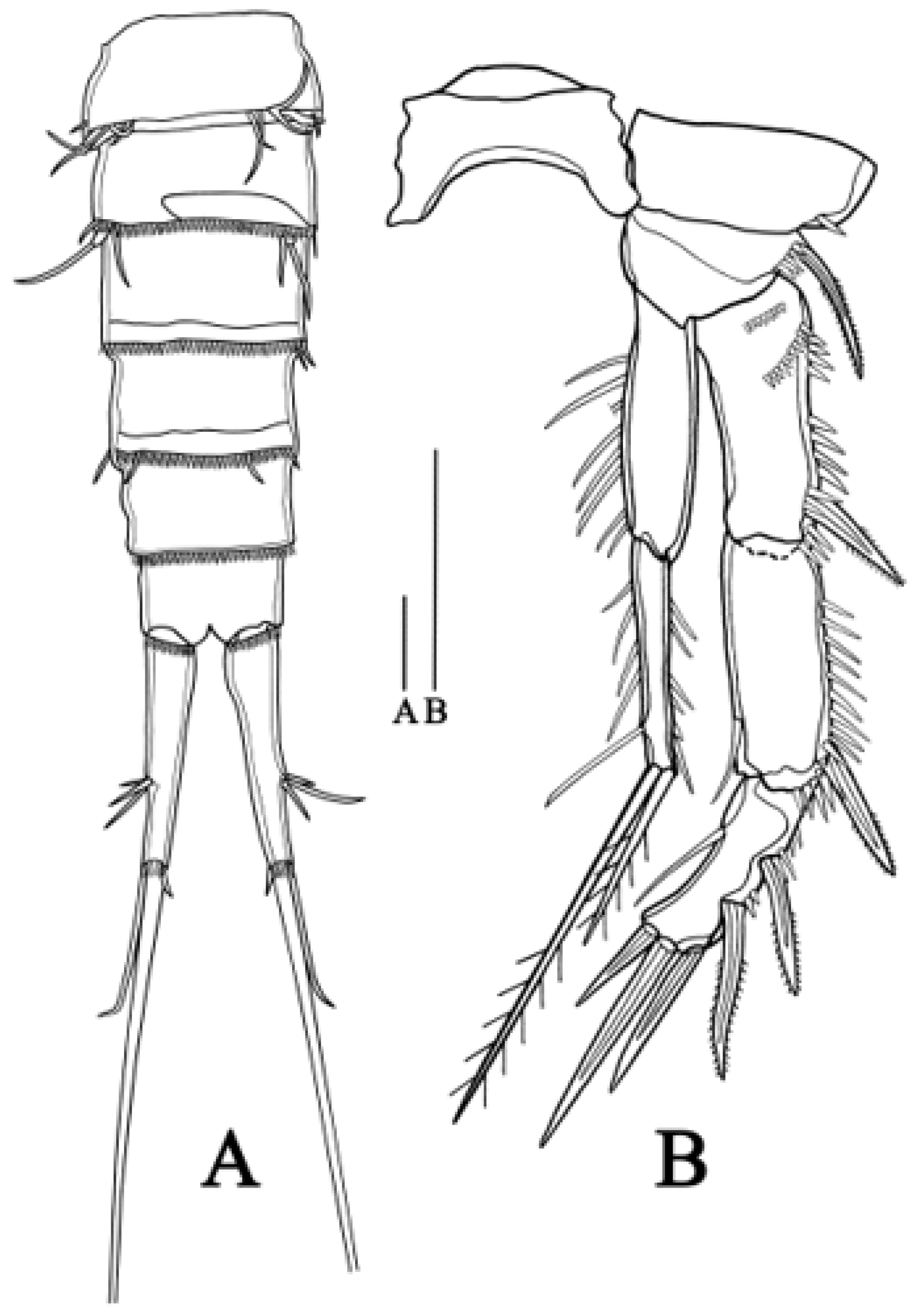 Biology 14 00271 g007