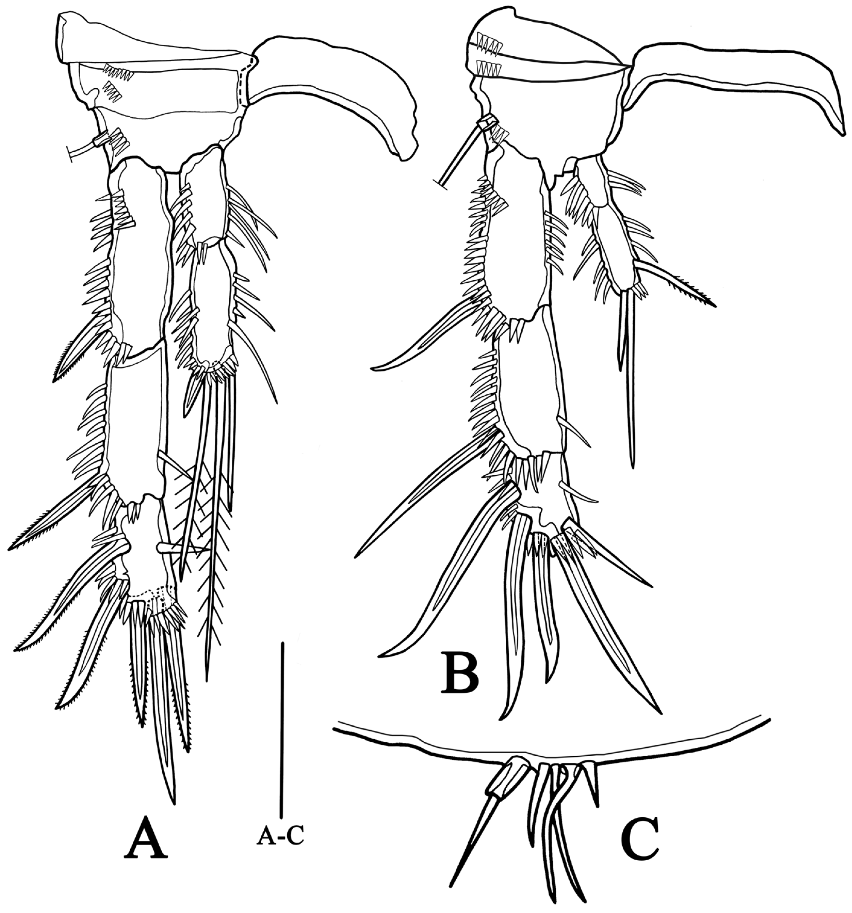Biology 14 00271 g008
