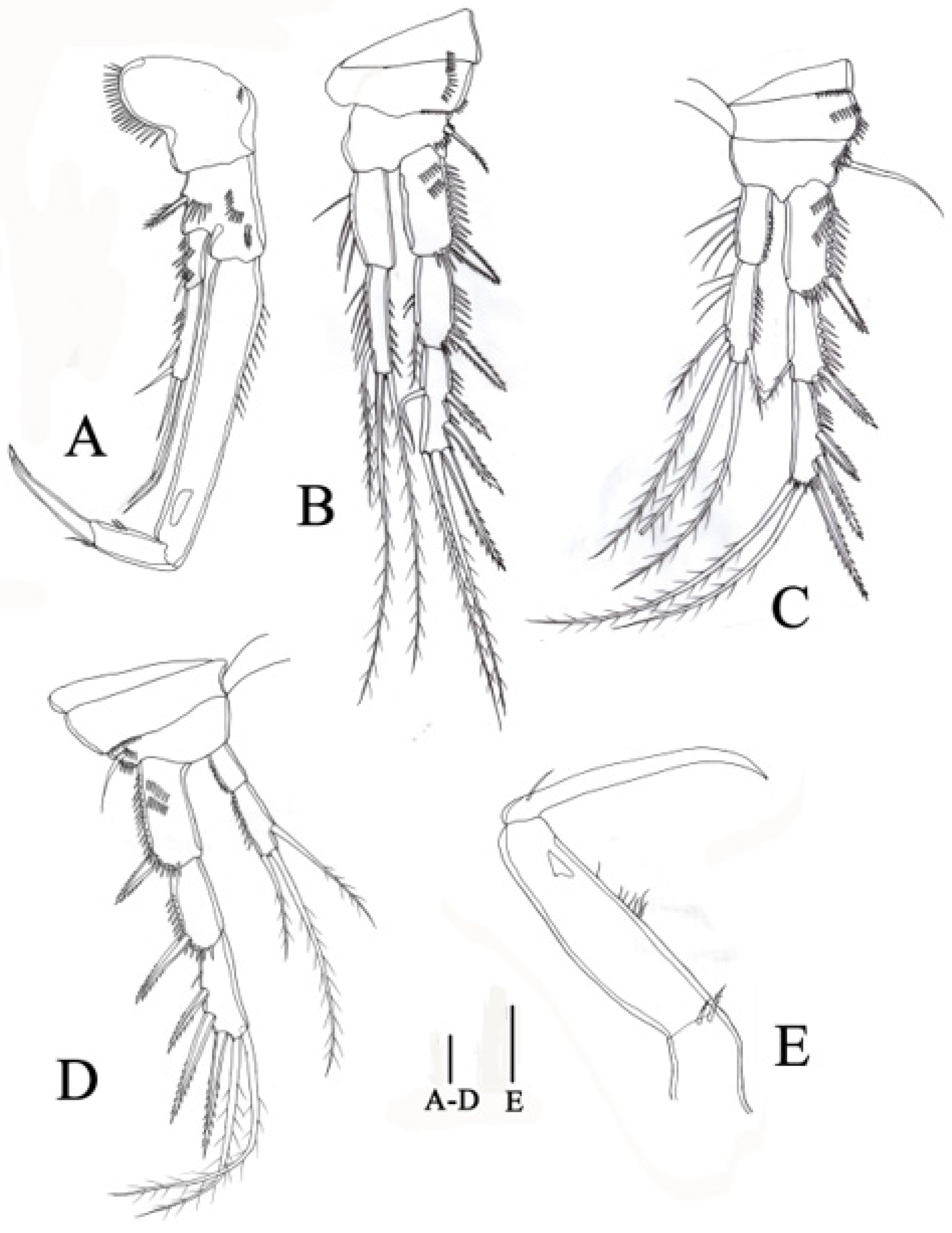 Biology 14 00271 g009