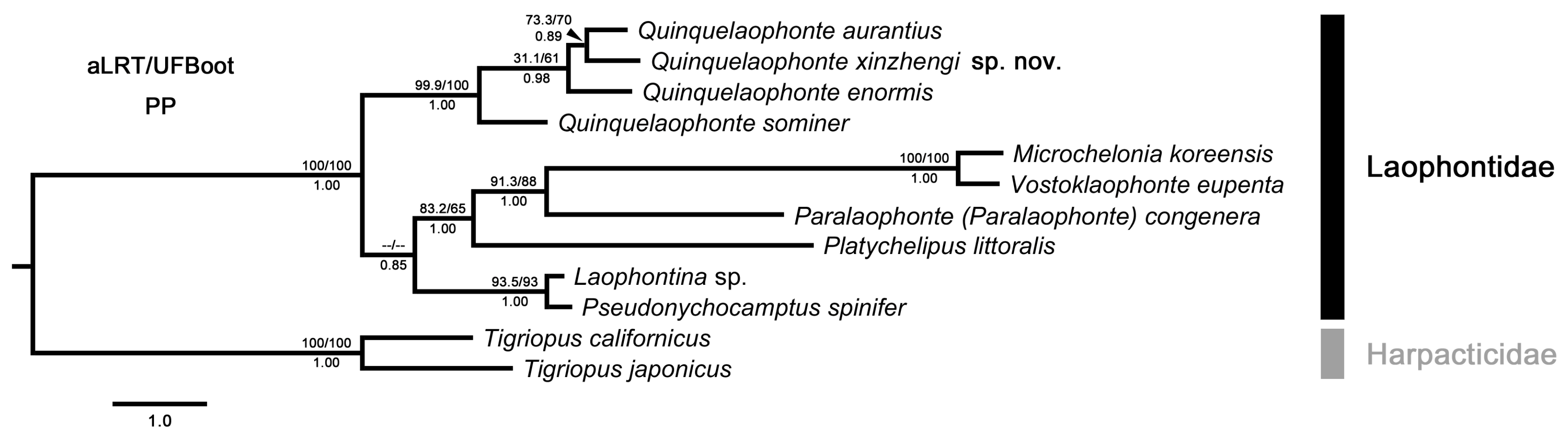 Biology 14 00271 g010