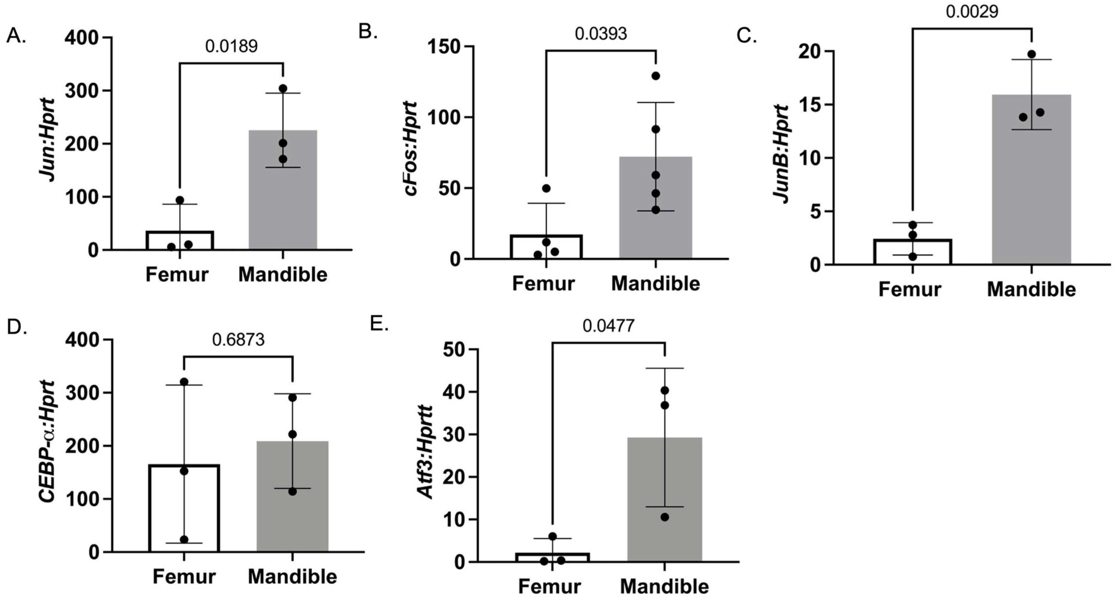 Biology 14 00273 g003