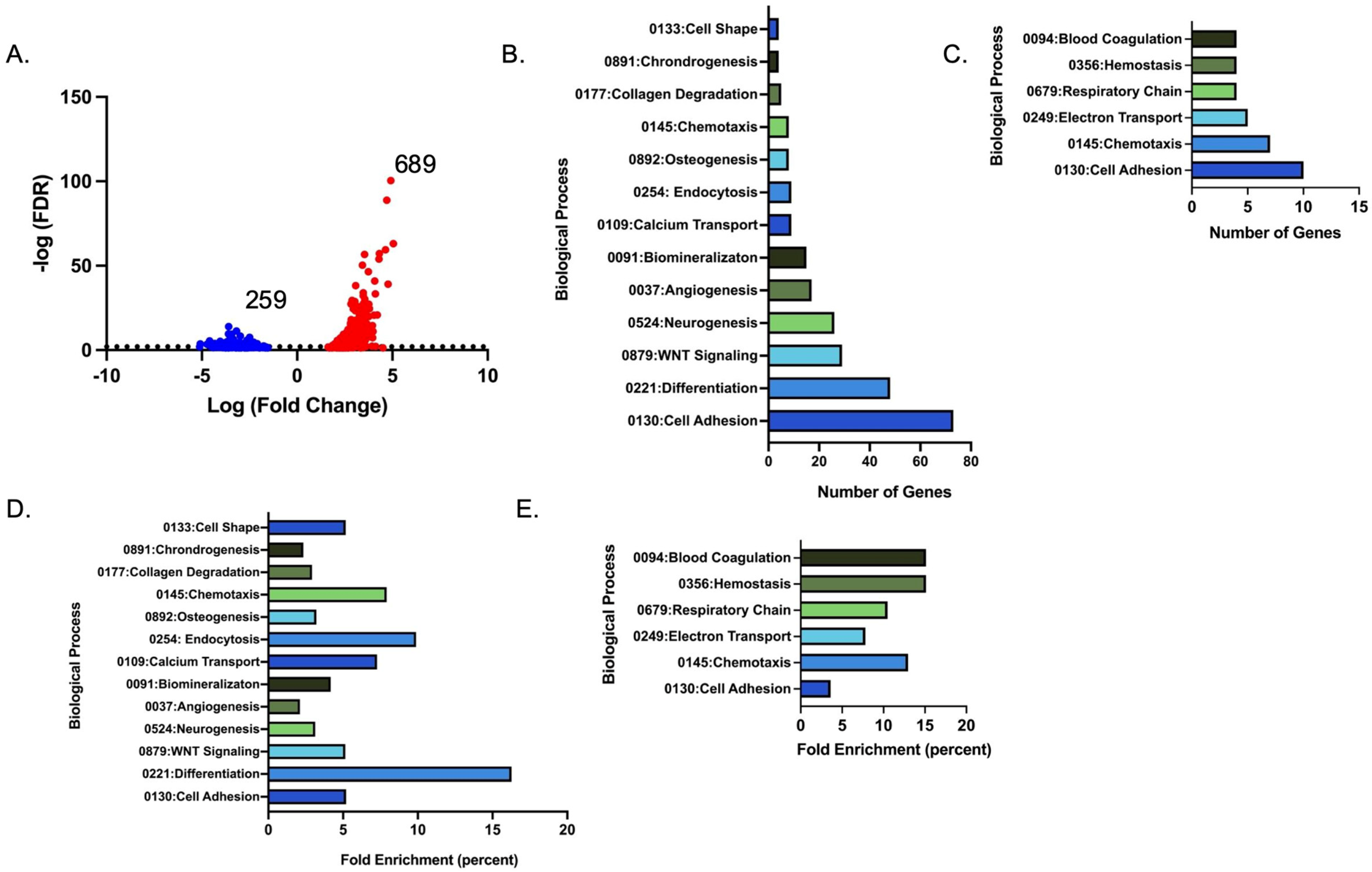 Biology 14 00273 g004