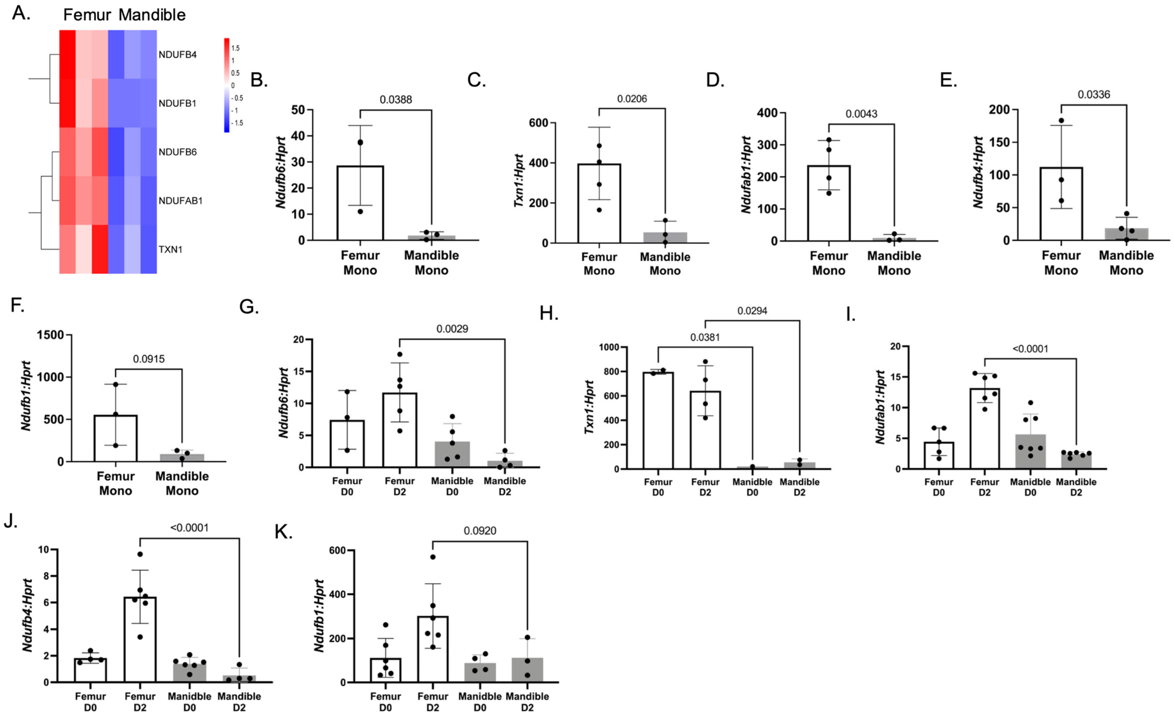 Biology 14 00273 g006