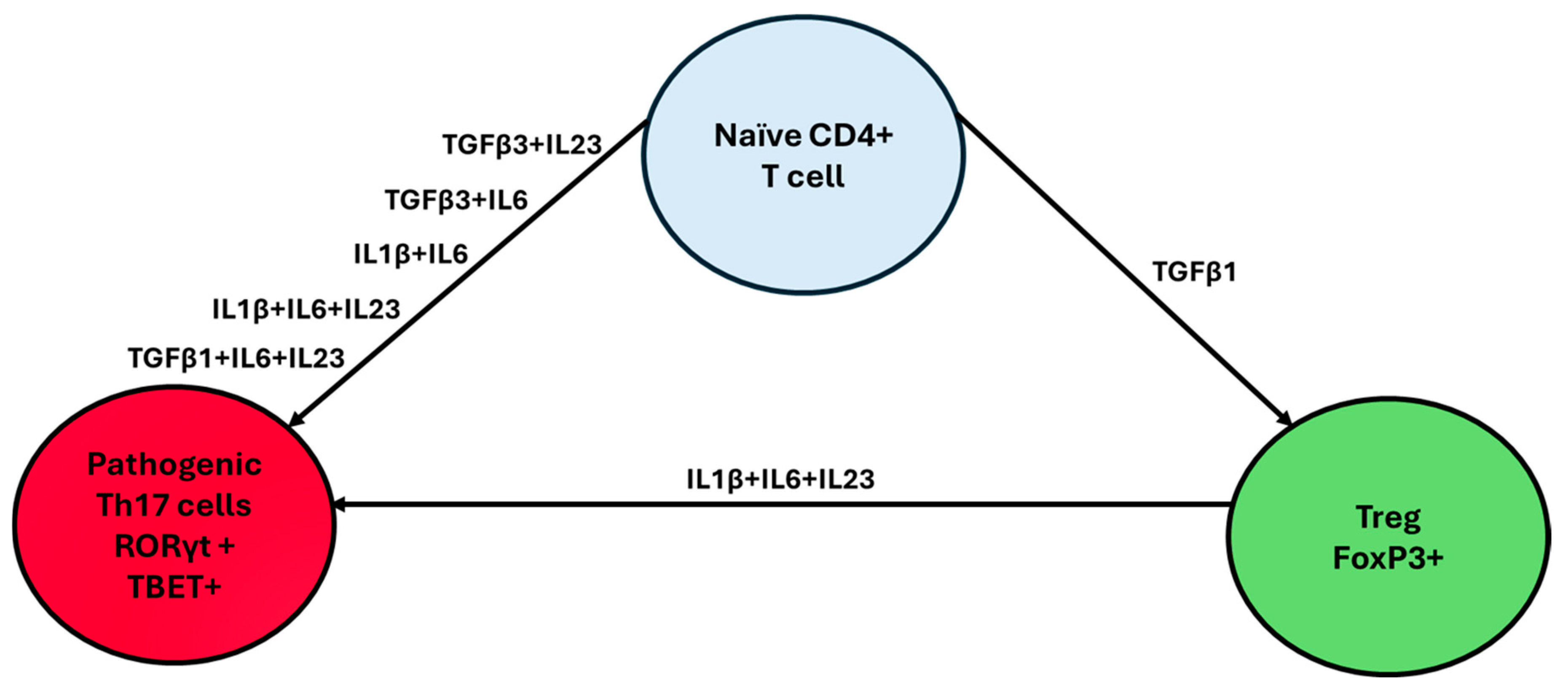 Biology 14 00275 g001