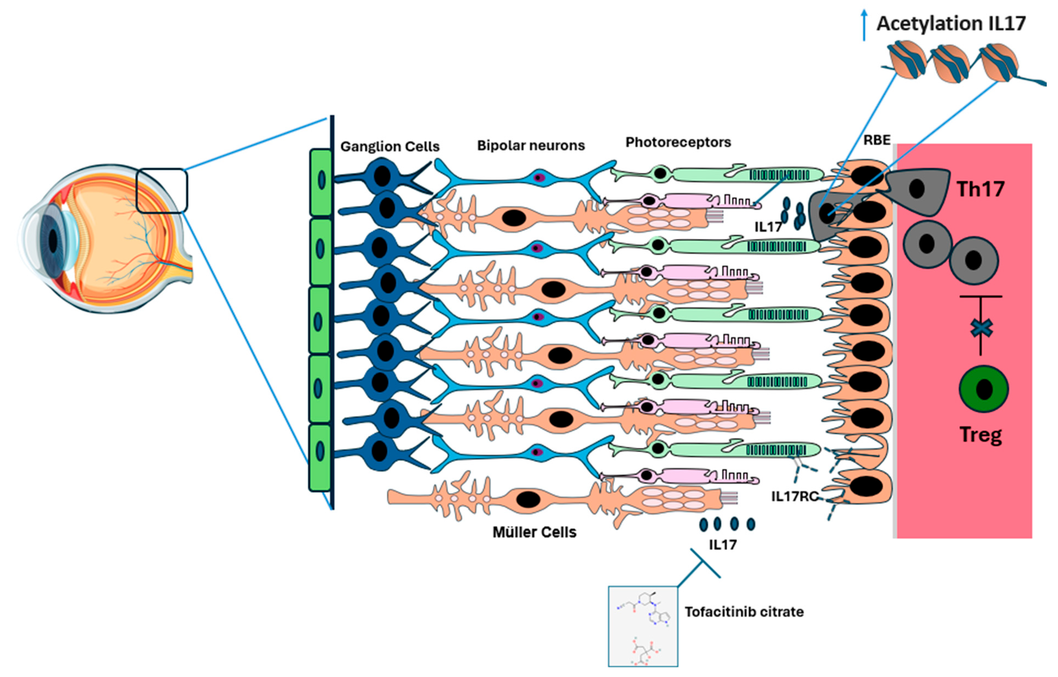 Biology 14 00275 g002