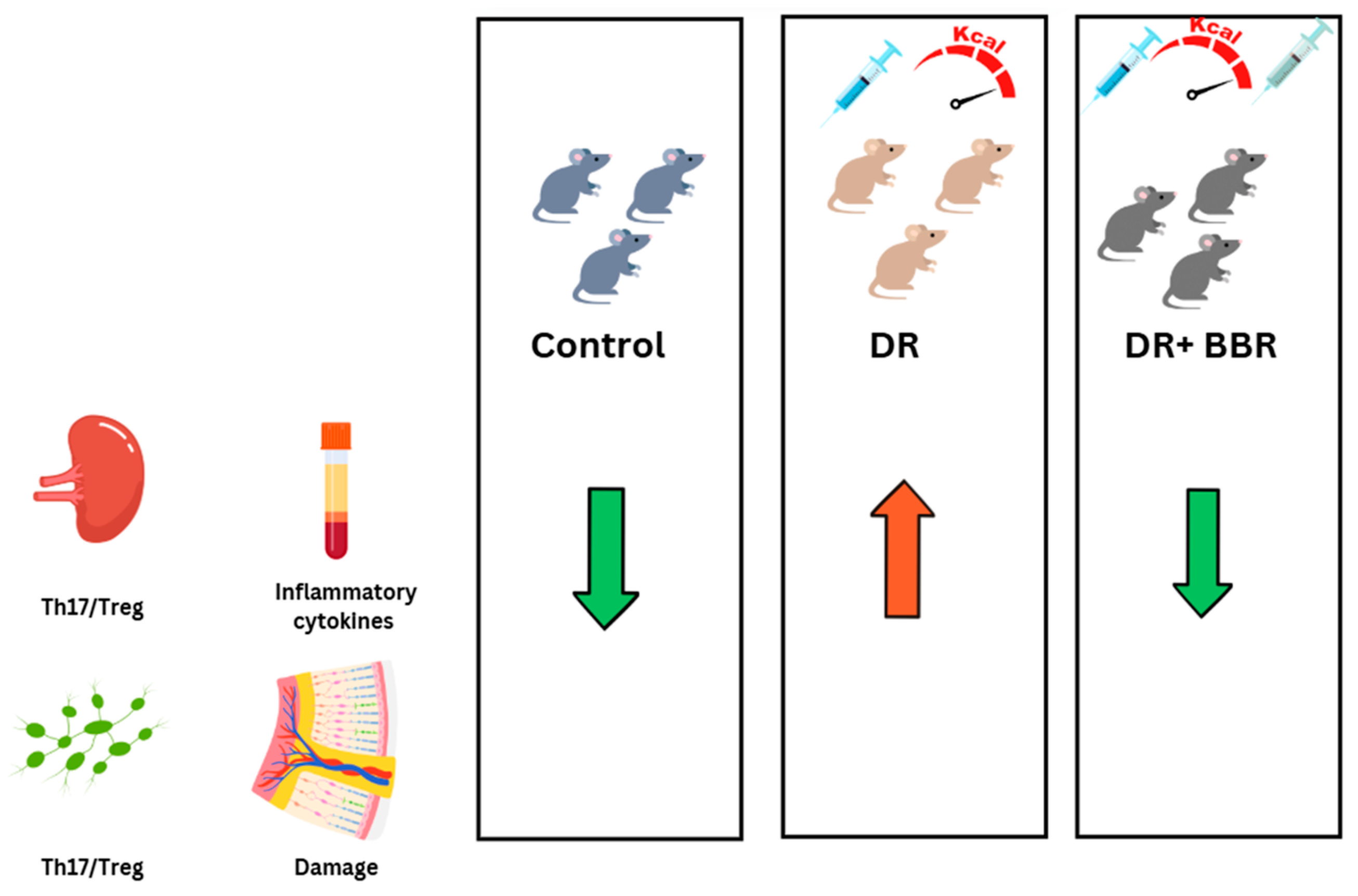 Biology 14 00275 g003