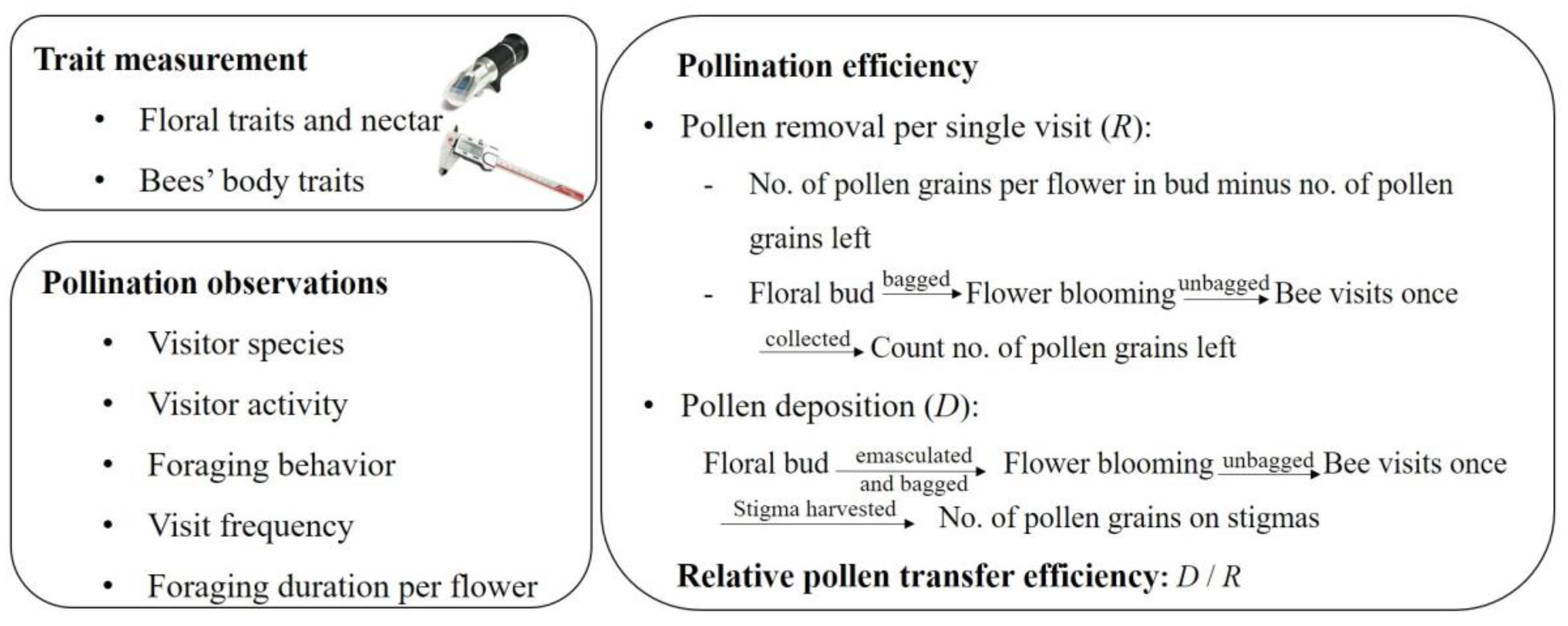 Biology 14 00276 g002