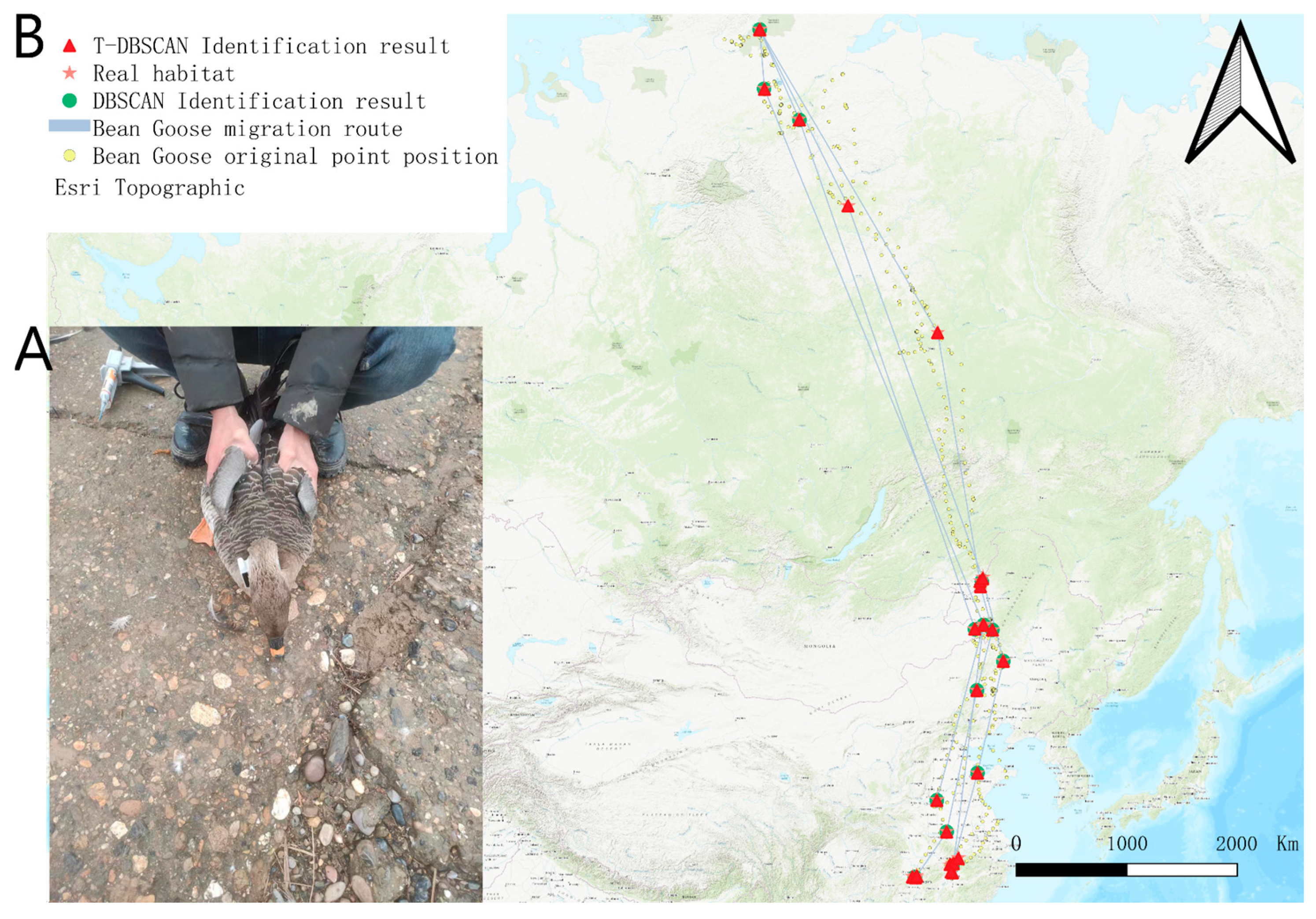 Biology 14 00277 g004