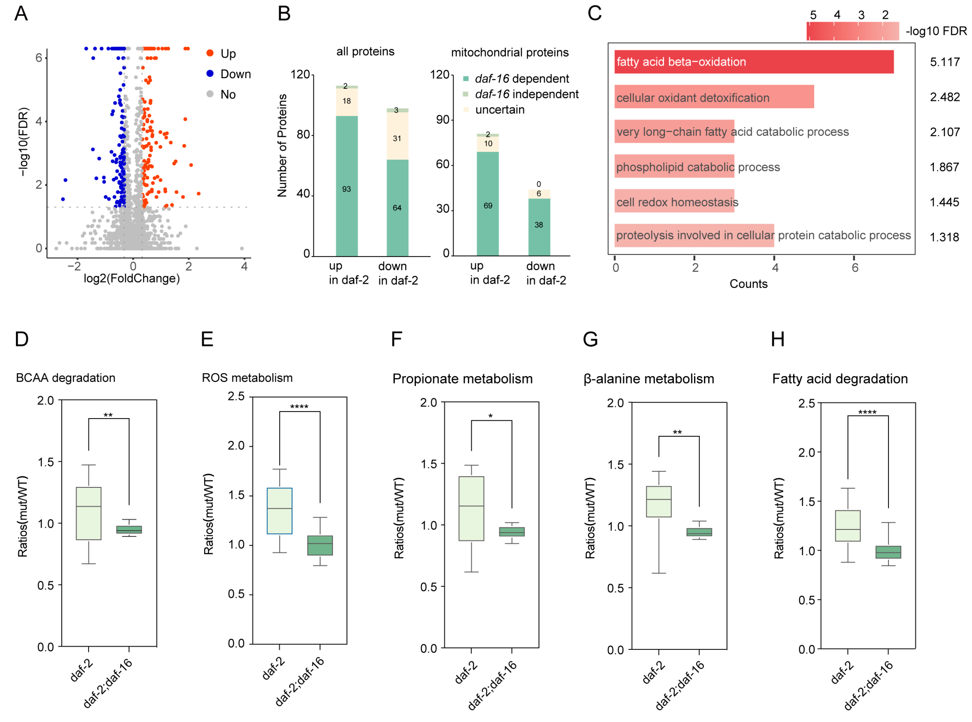 Biology 14 00279 g002
