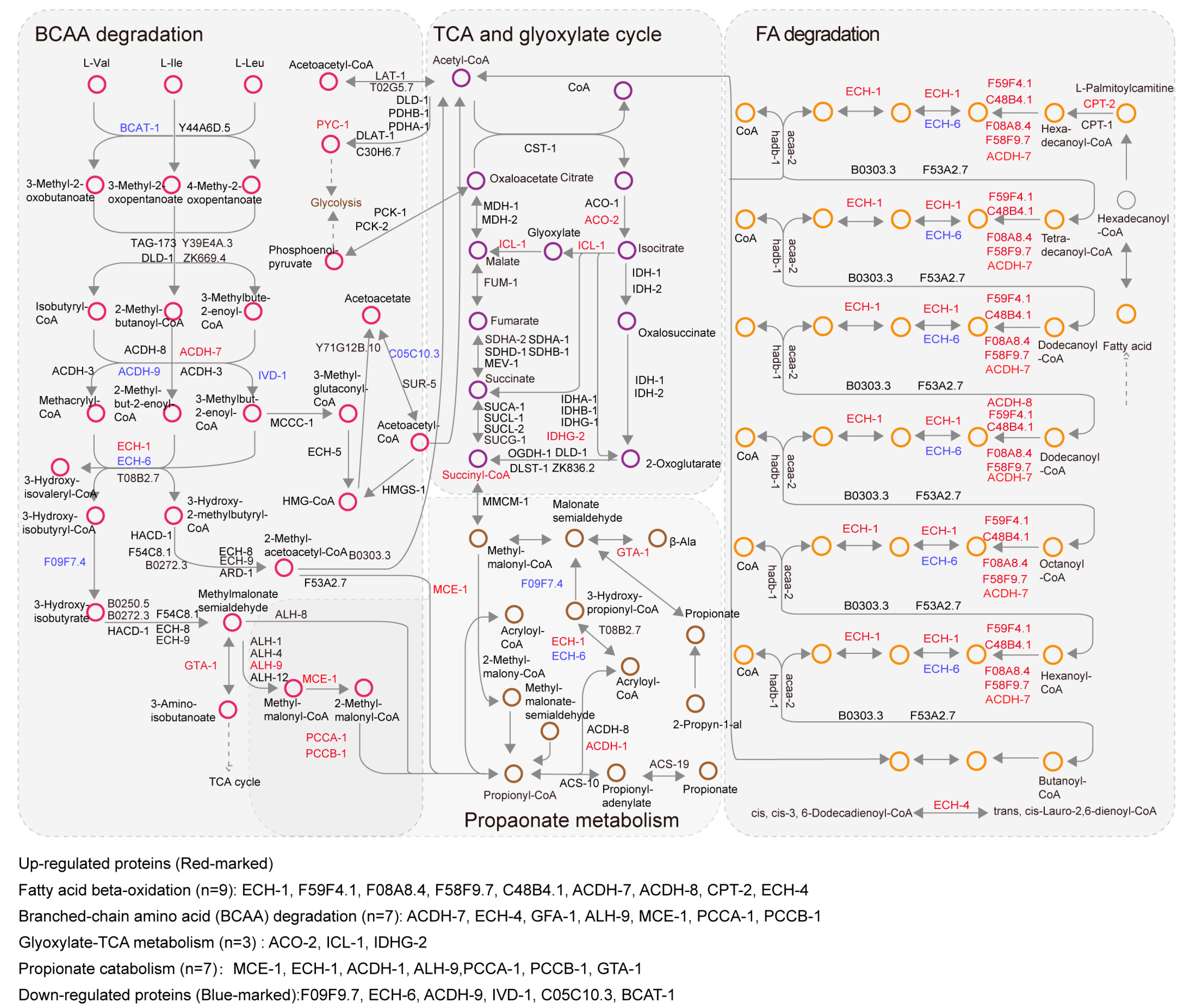 Biology 14 00279 g003