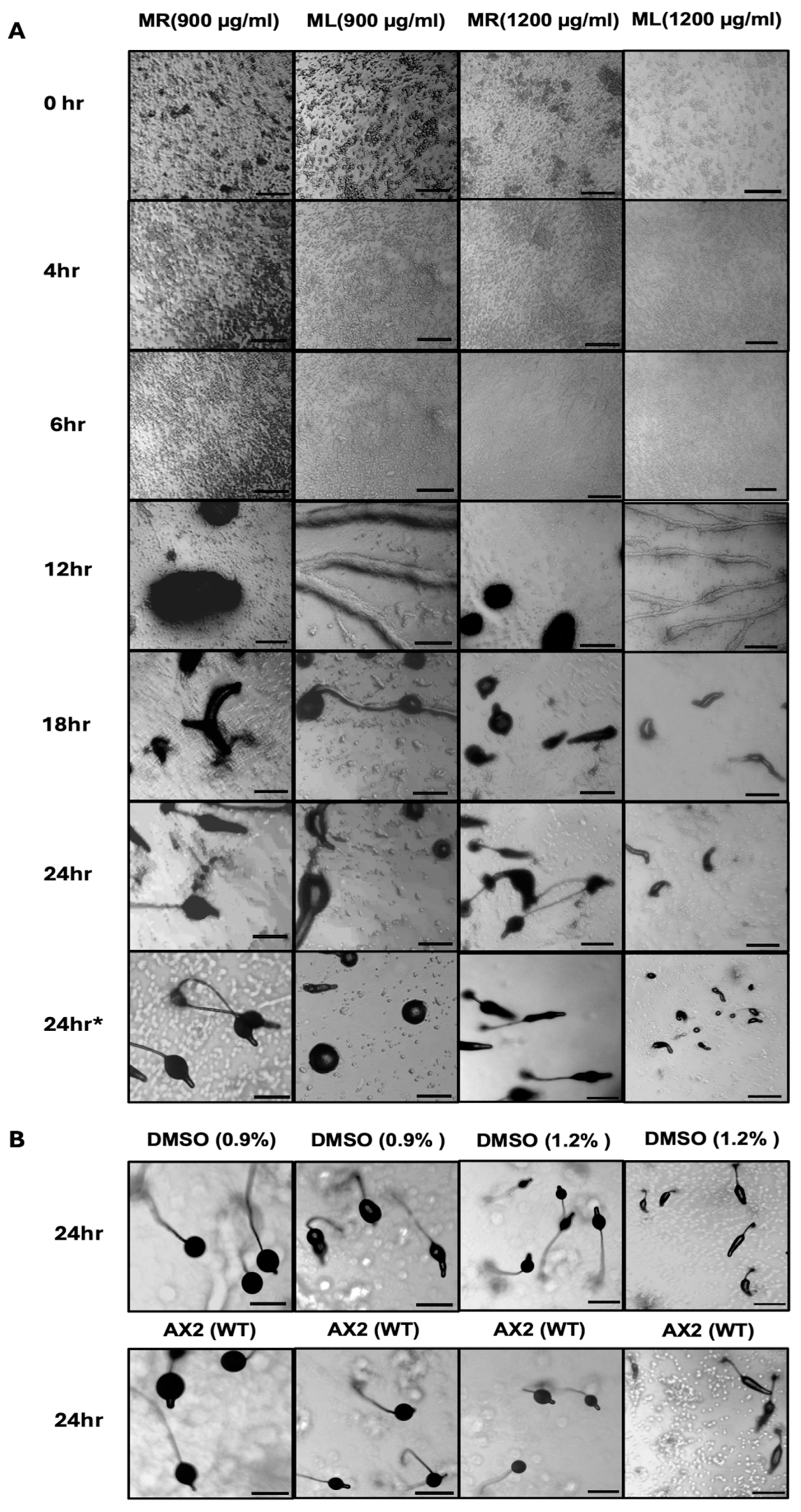 Biology 14 00284 g004 Biology 14 00284 g004