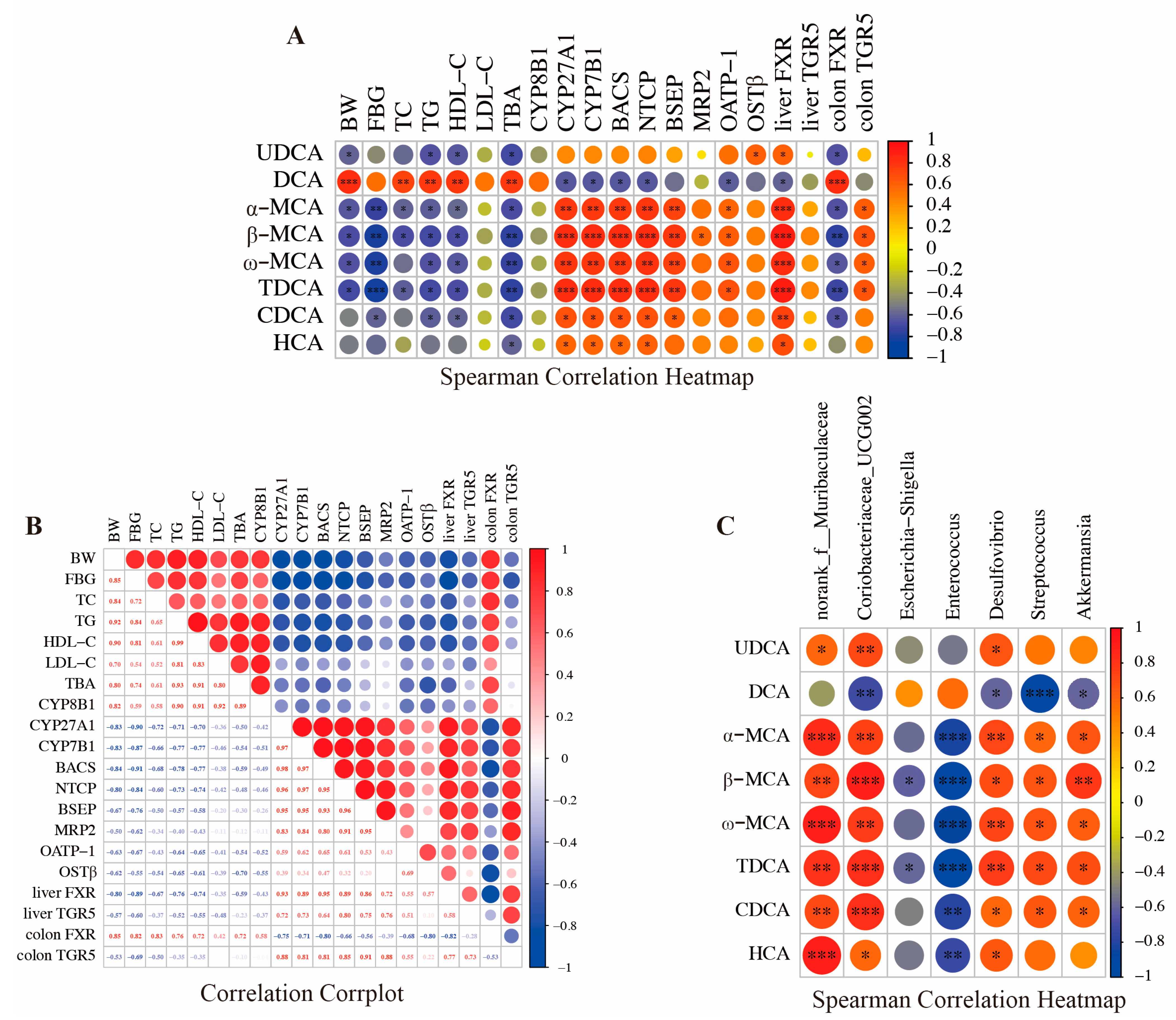 Biology 14 00291 g005
