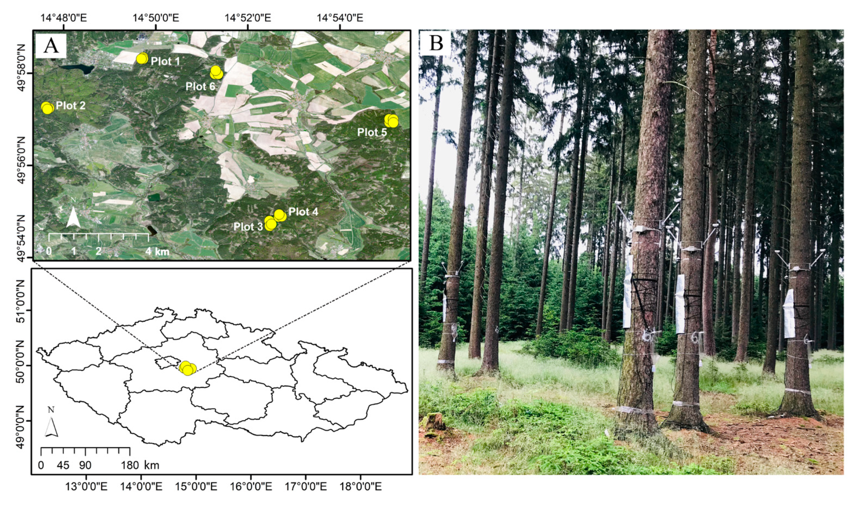 Biology 14 00296 g001