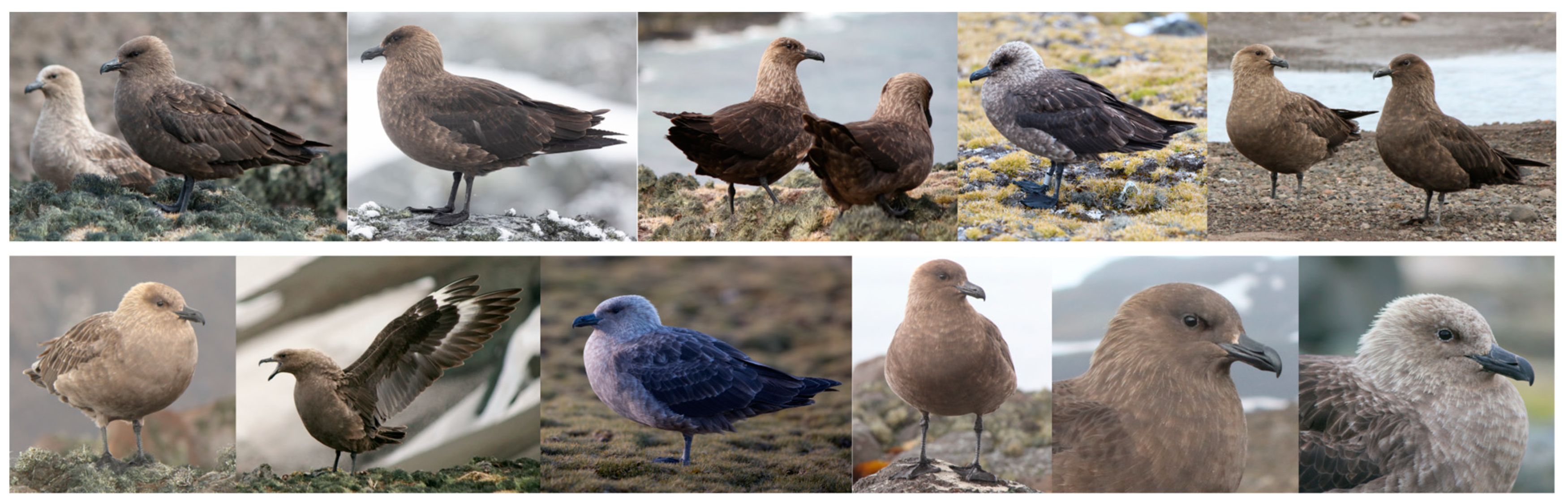 Biology 14 00305 g002