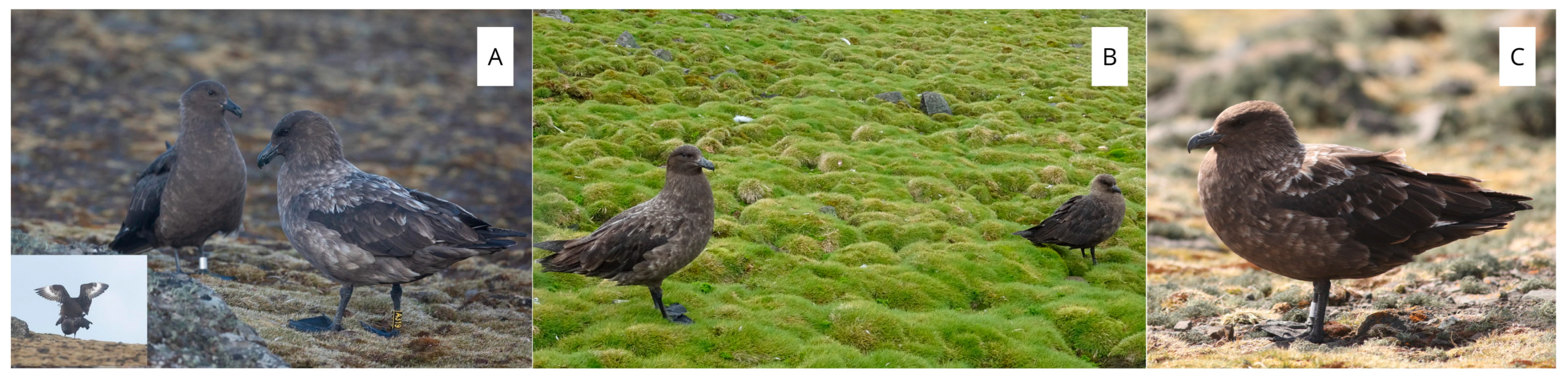 Biology 14 00305 g004