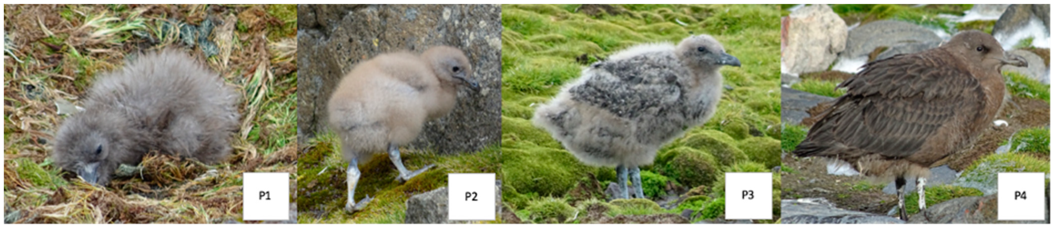 Biology 14 00305 g005