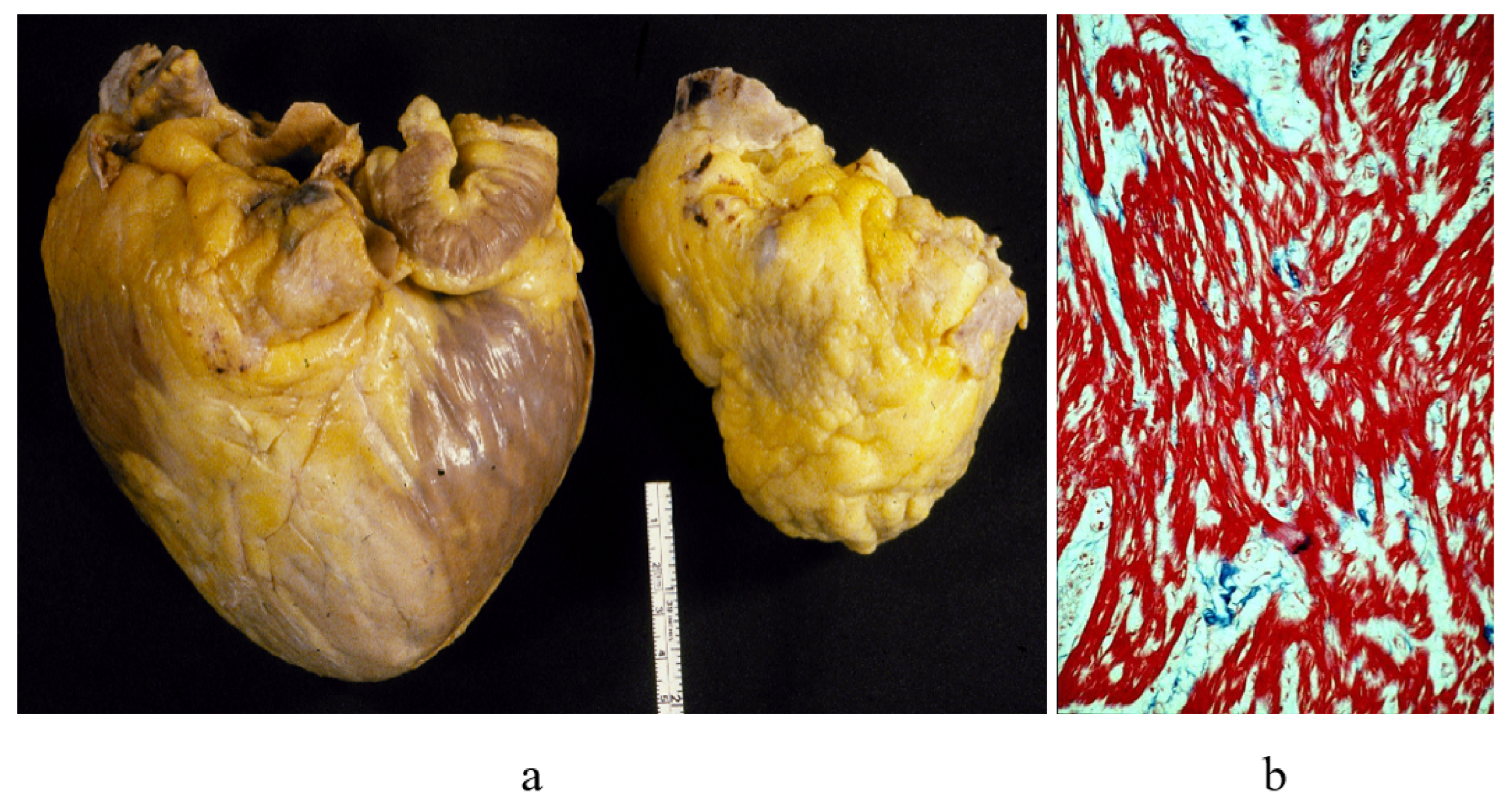 Biology 14 00306 g004