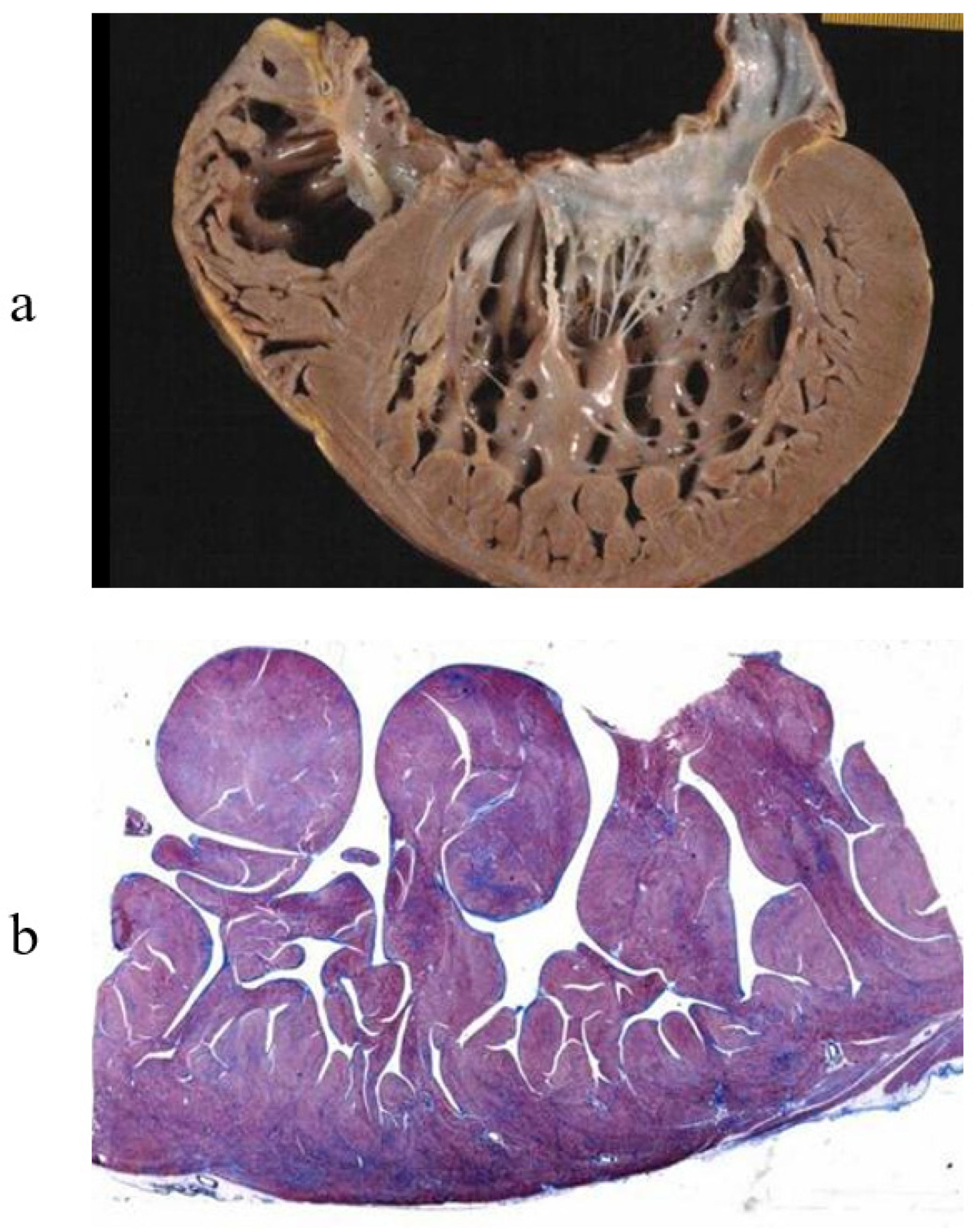 Biology 14 00306 g005