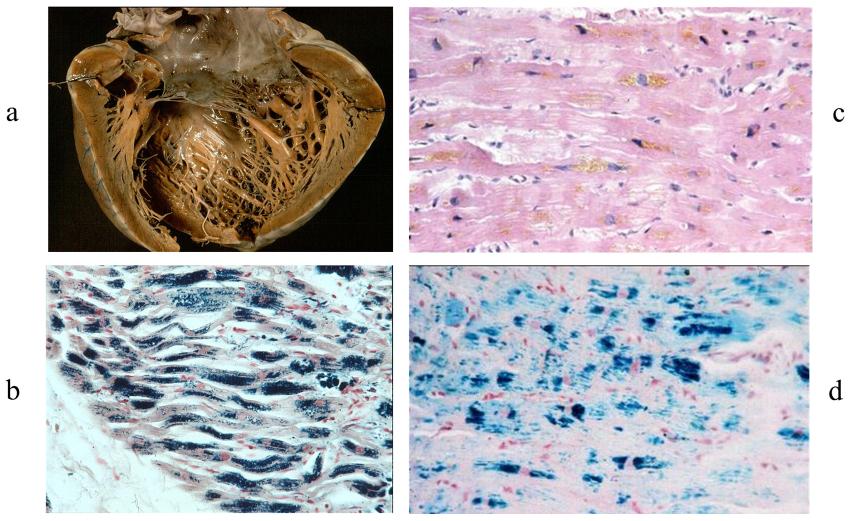Biology 14 00306 g006