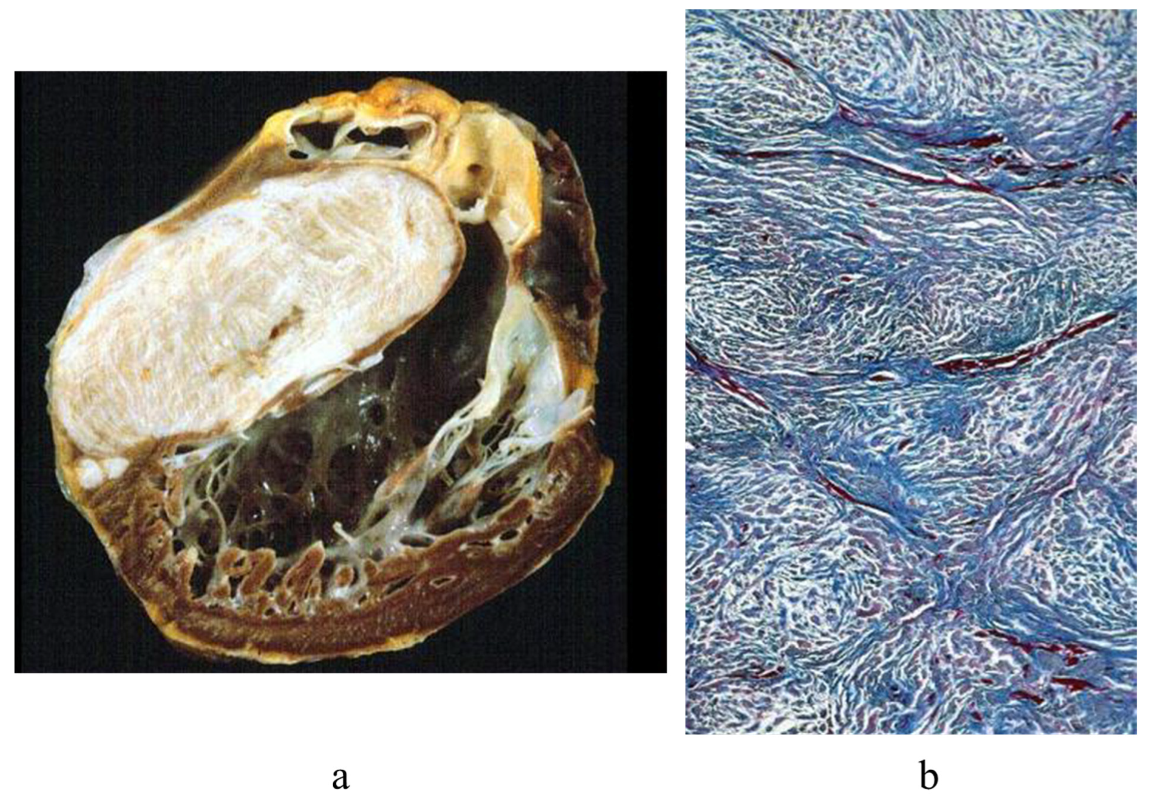 Biology 14 00306 g007