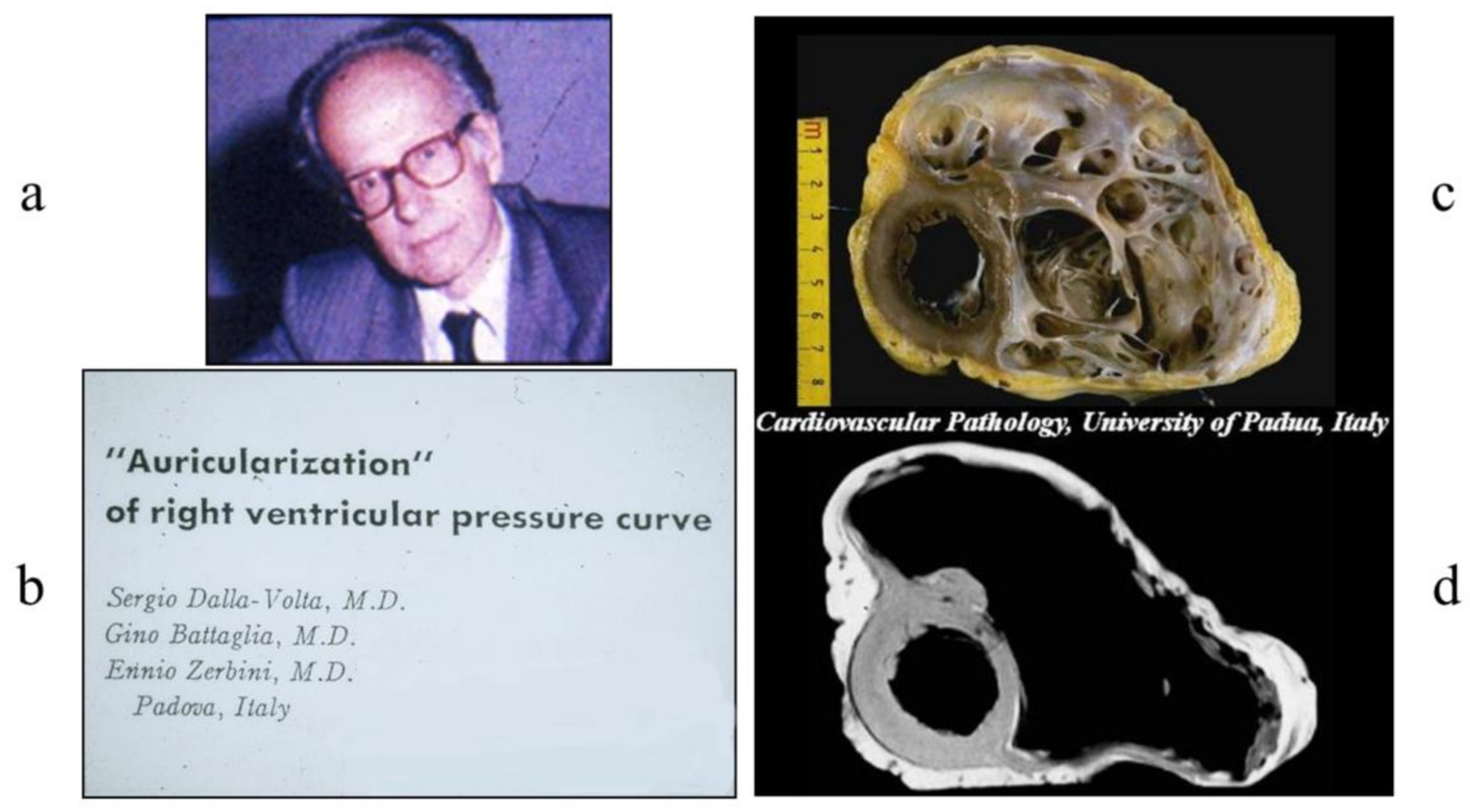 Biology 14 00306 g008