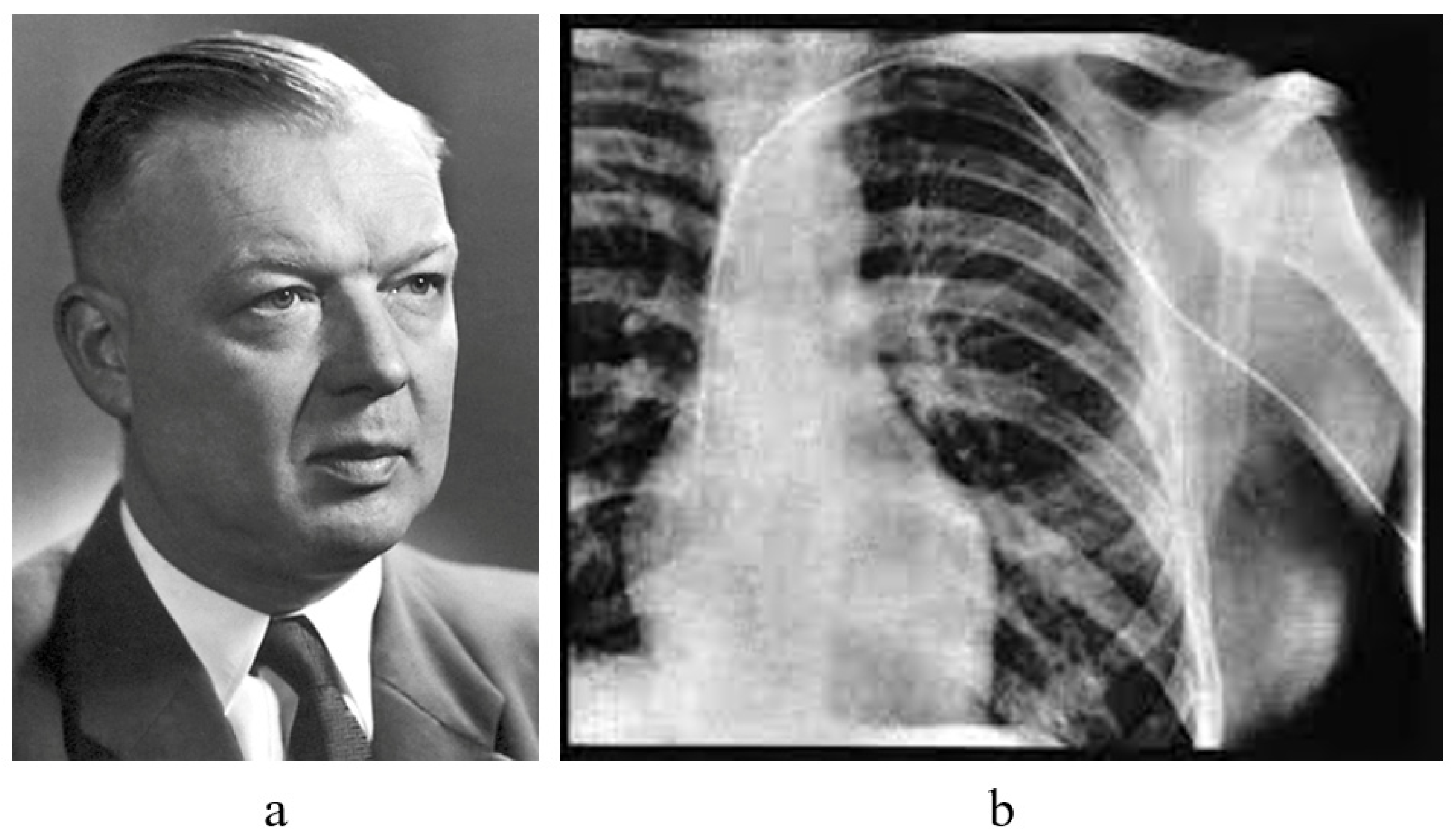 Biology 14 00306 g009