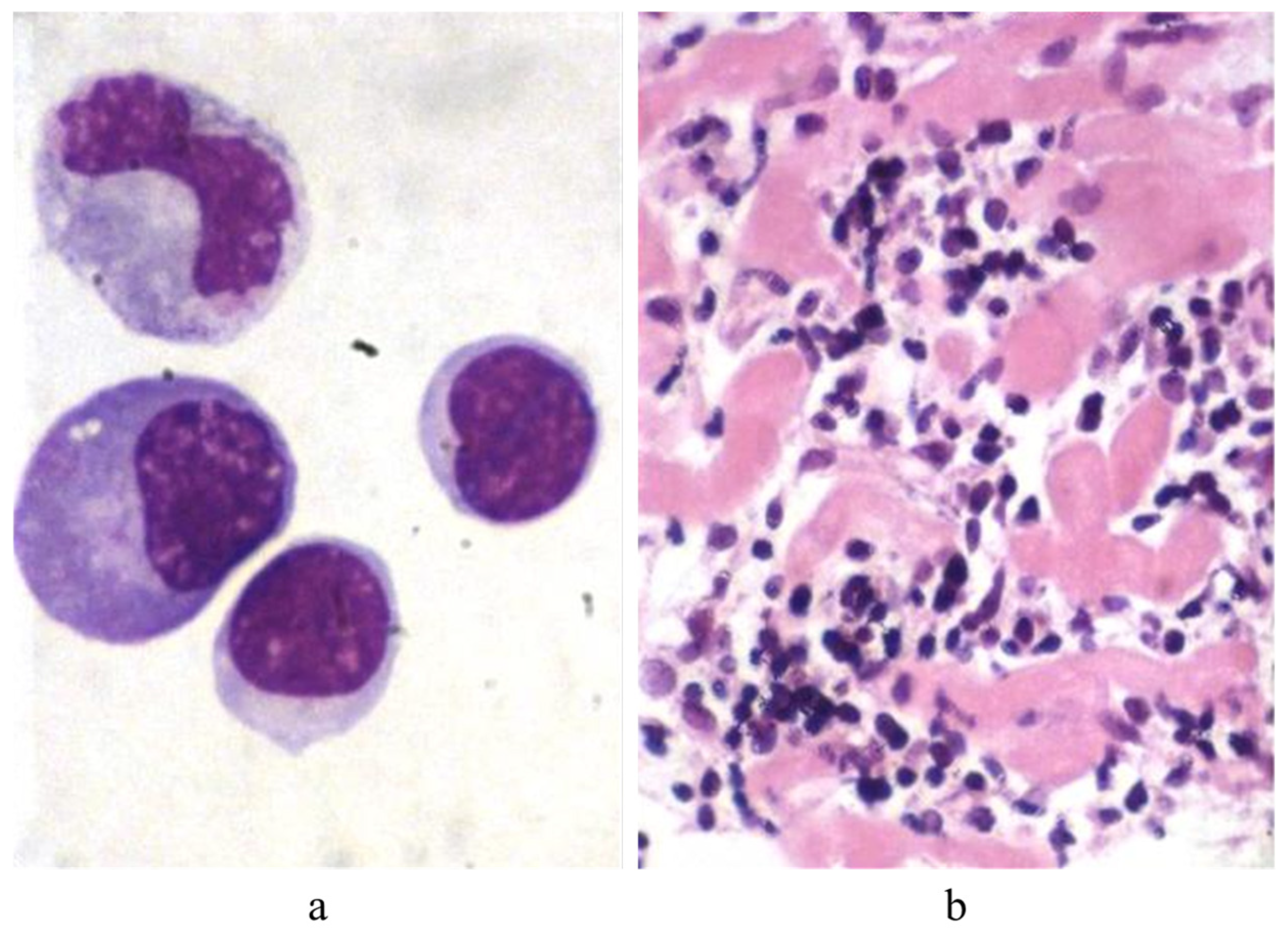 Biology 14 00306 g012
