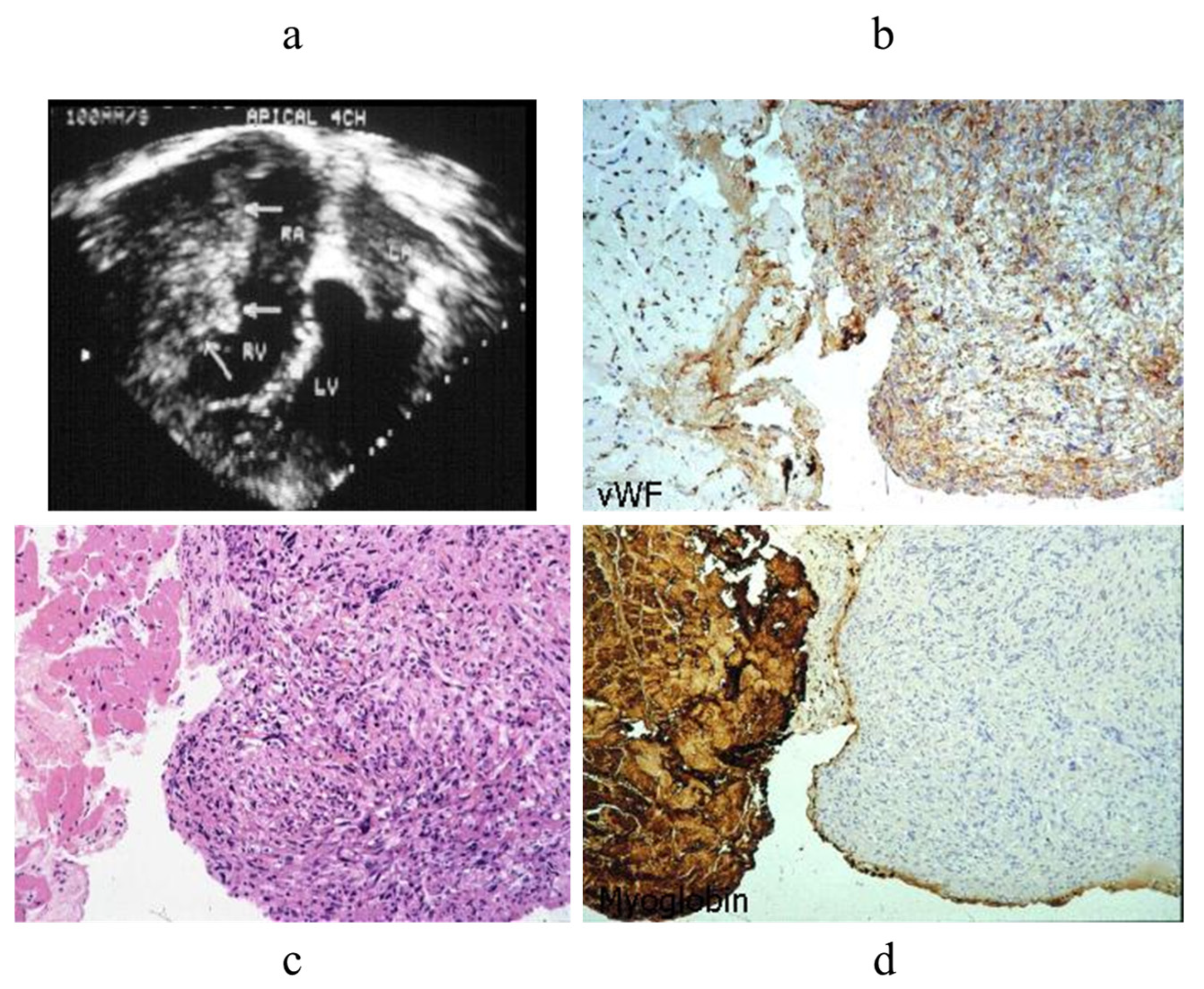 Biology 14 00306 g014