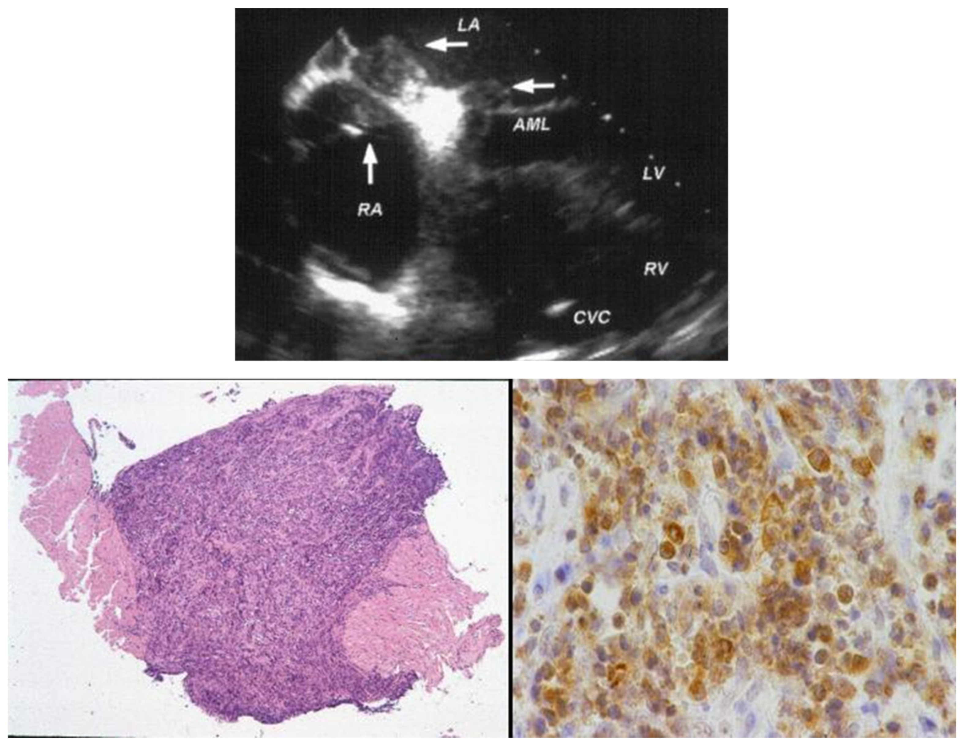 Biology 14 00306 g015