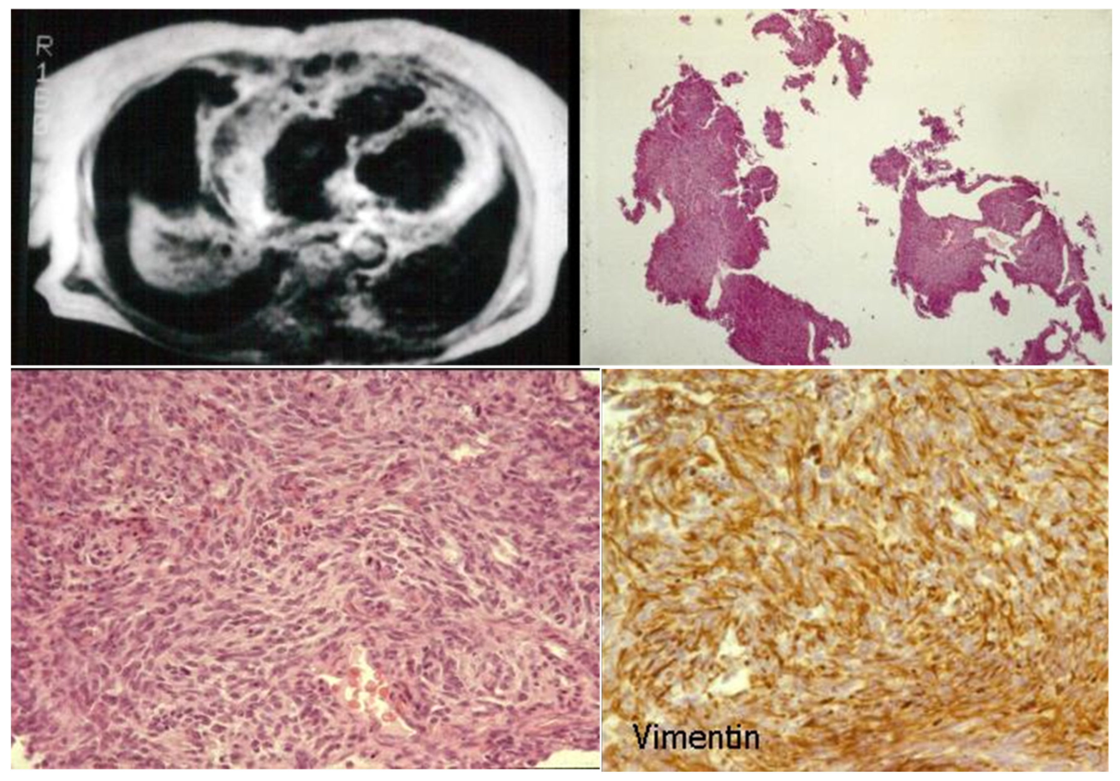 Biology 14 00306 g016