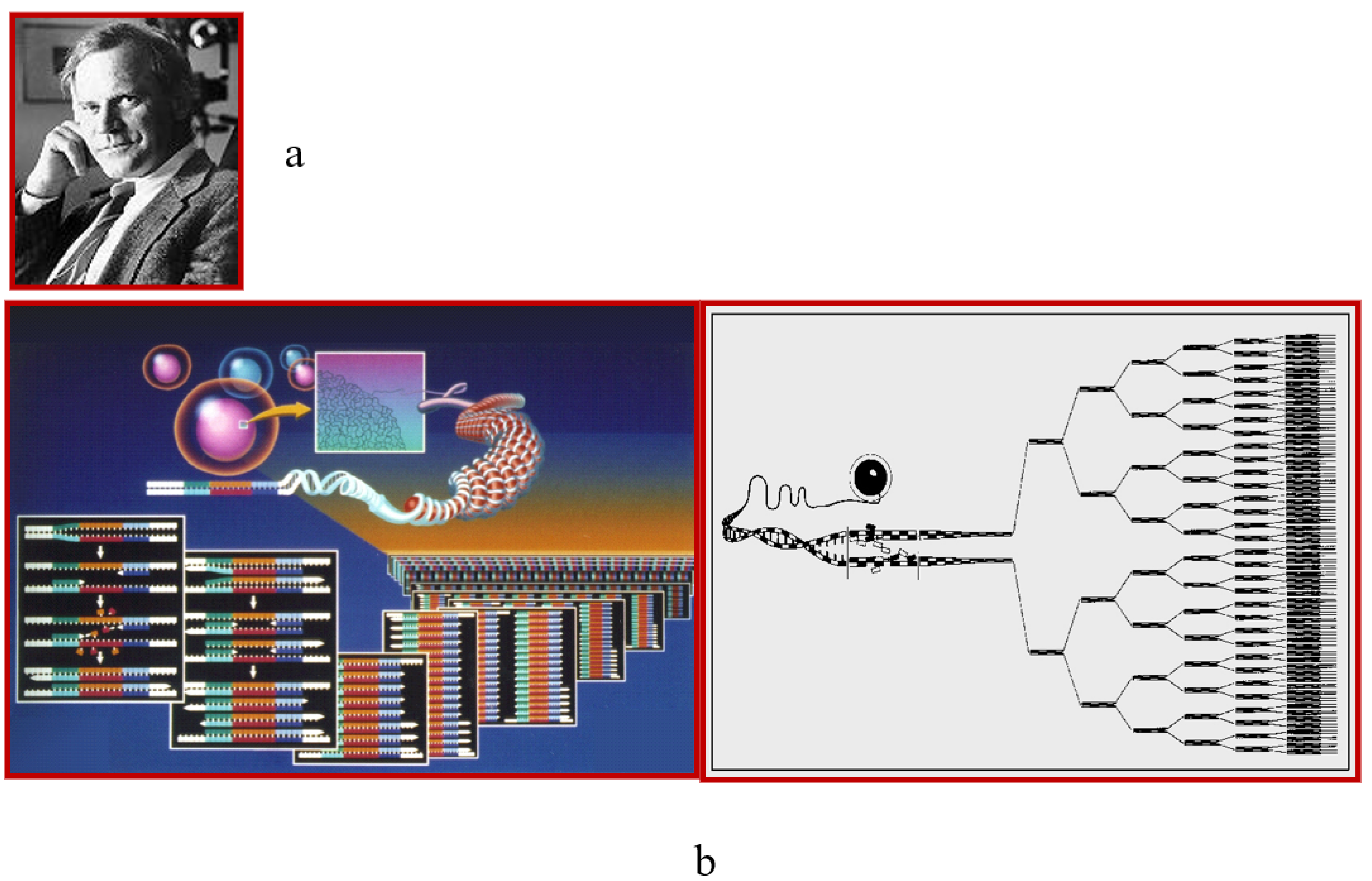 Biology 14 00306 g019
