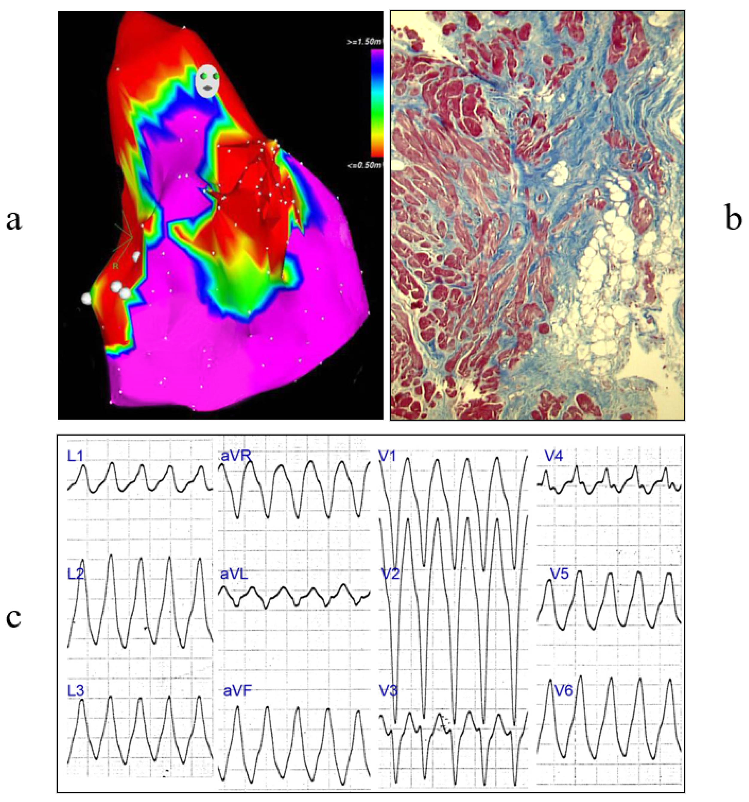 Biology 14 00306 g021