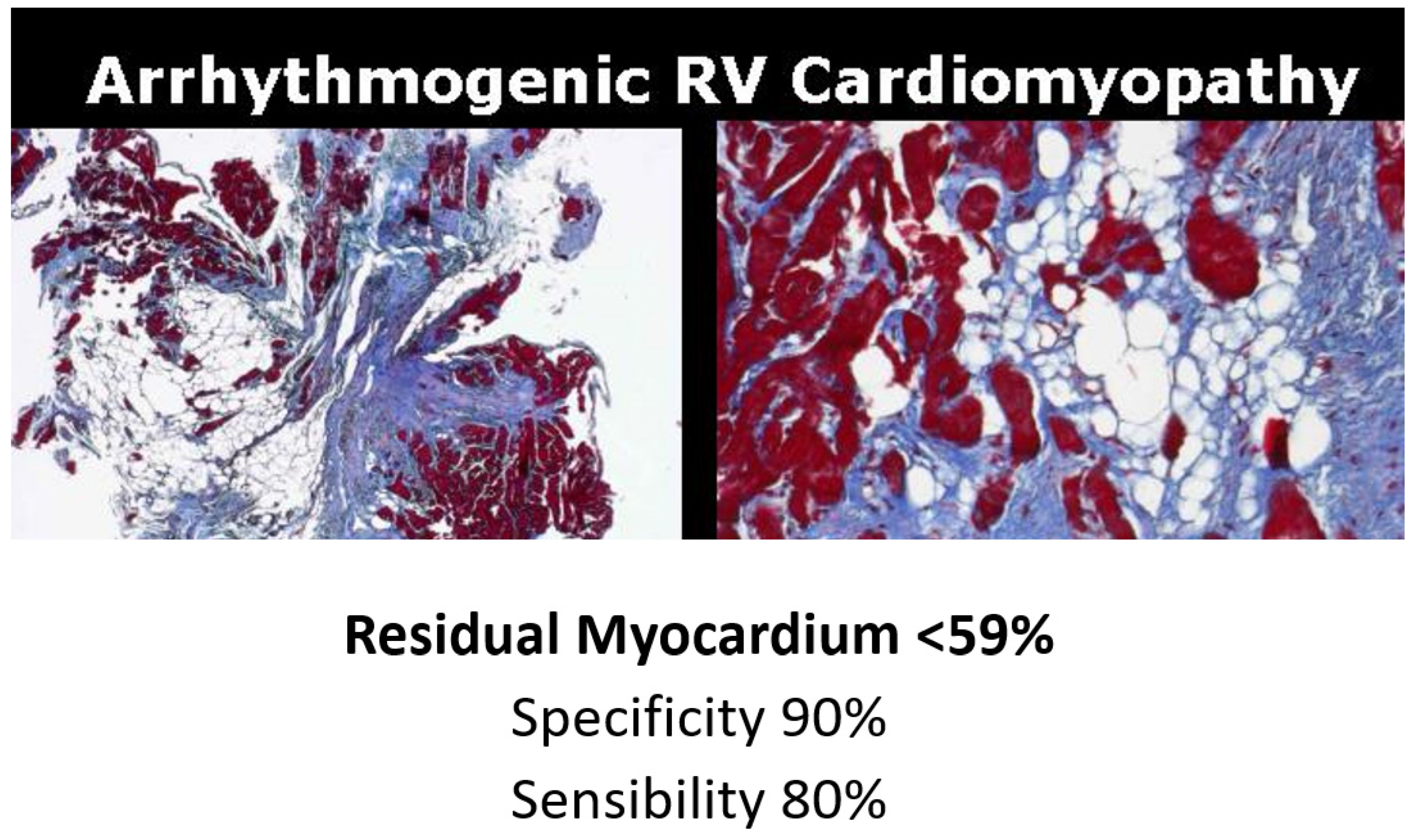 Biology 14 00306 g023