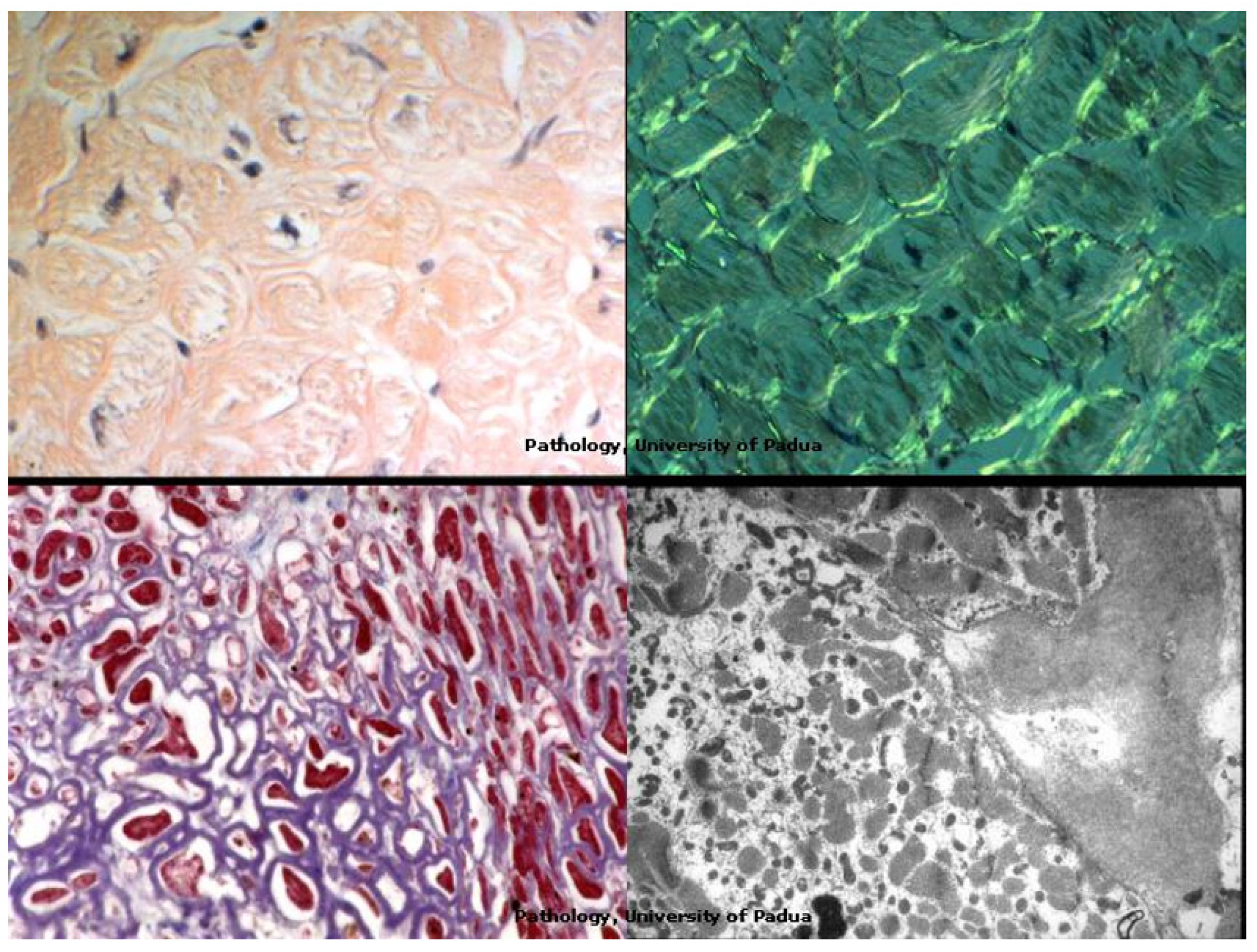 Biology 14 00306 g024
