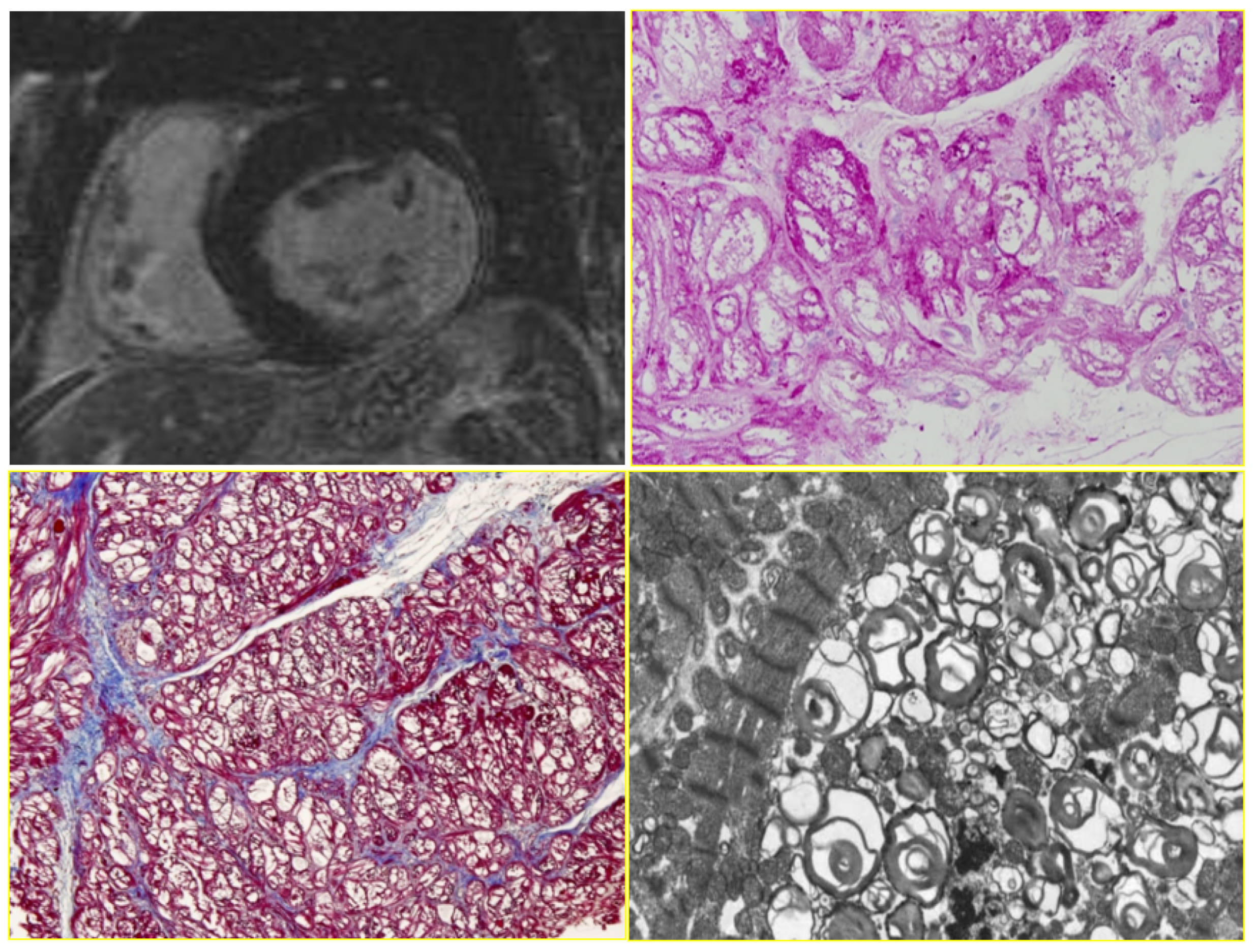 Biology 14 00306 g025