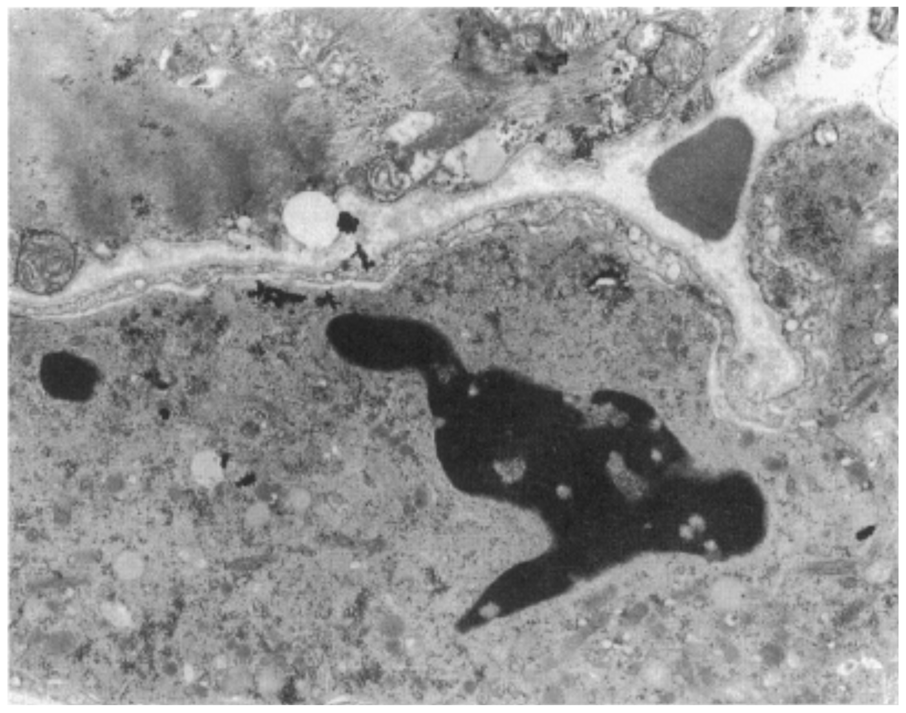 Biology 14 00306 g026