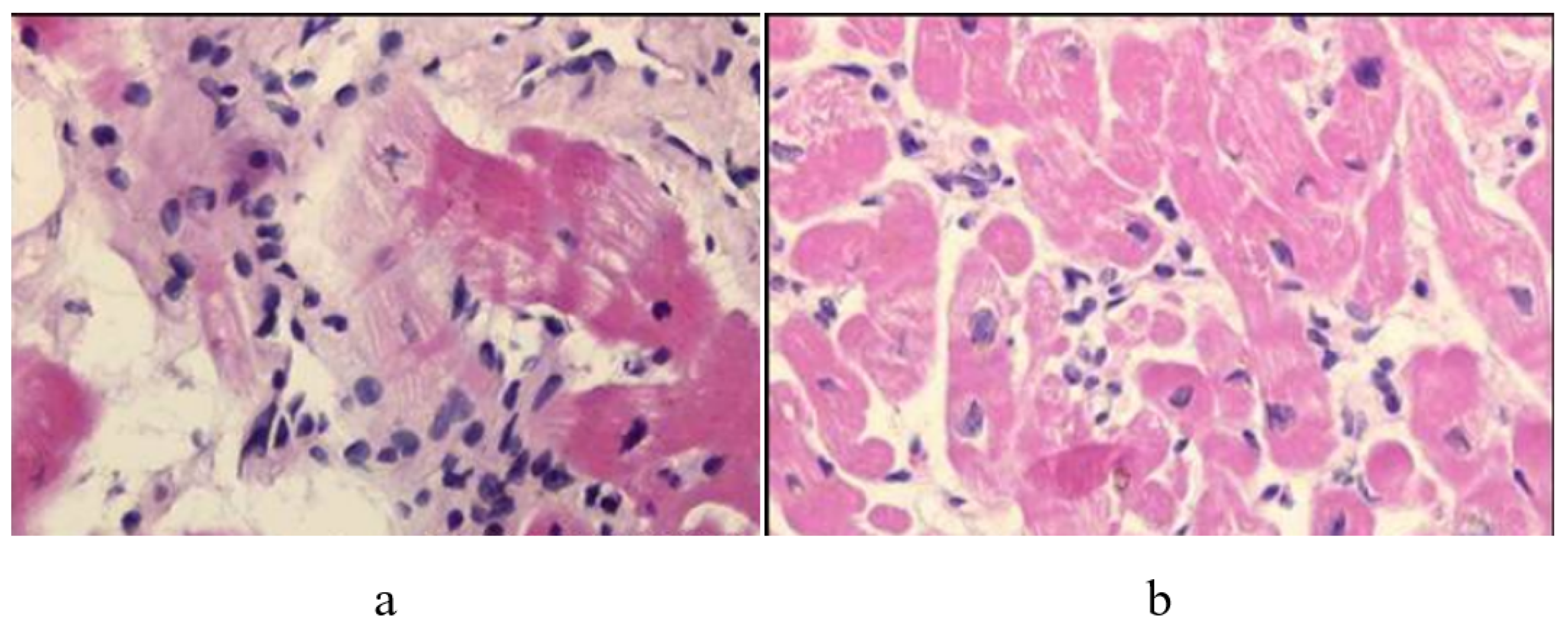 Biology 14 00306 g028