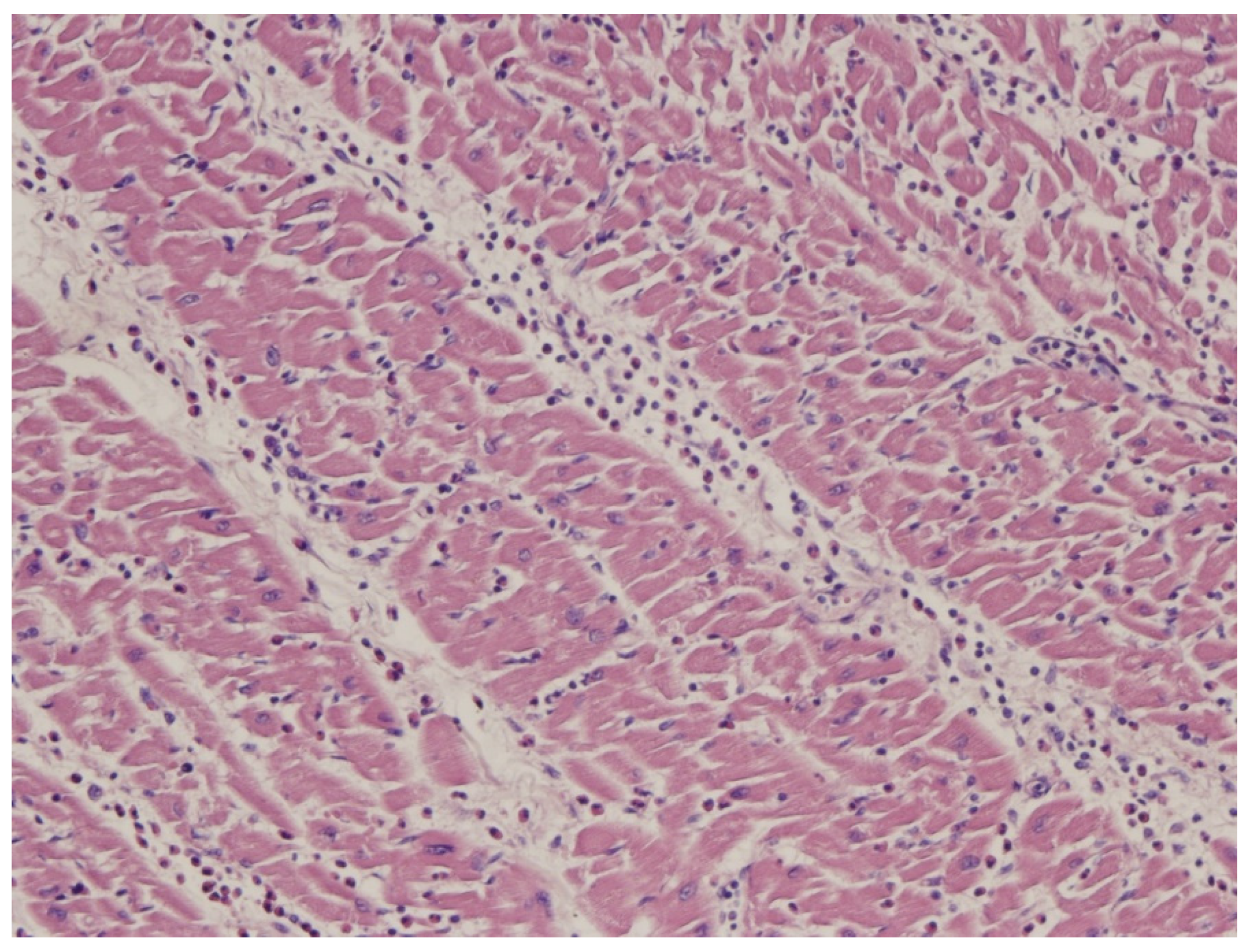 Biology 14 00306 g029