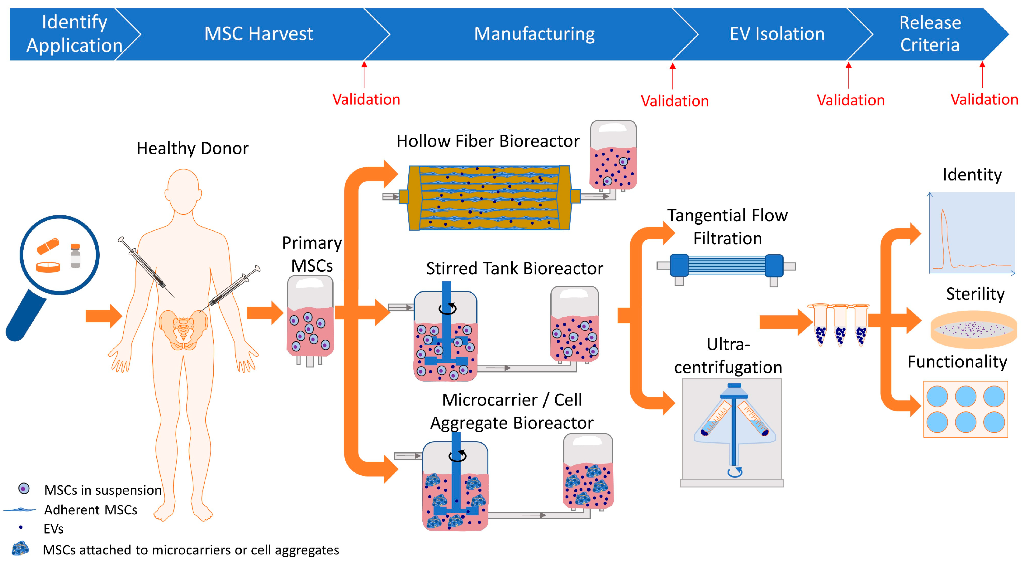 Biology 14 00313 g001