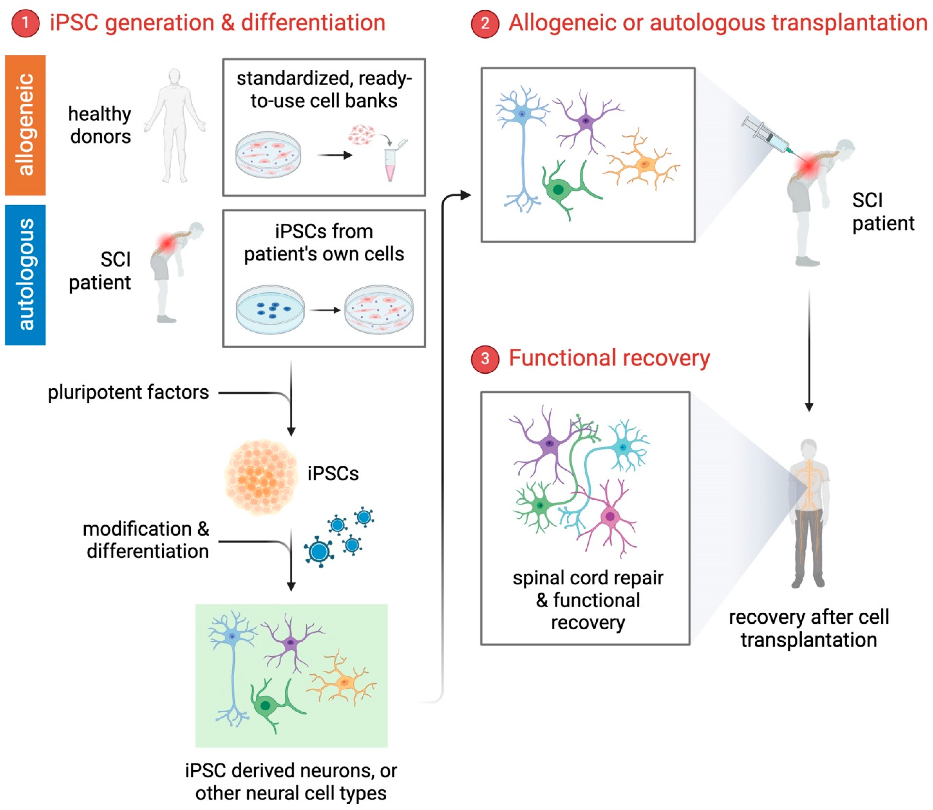 Biology 14 00314 g001