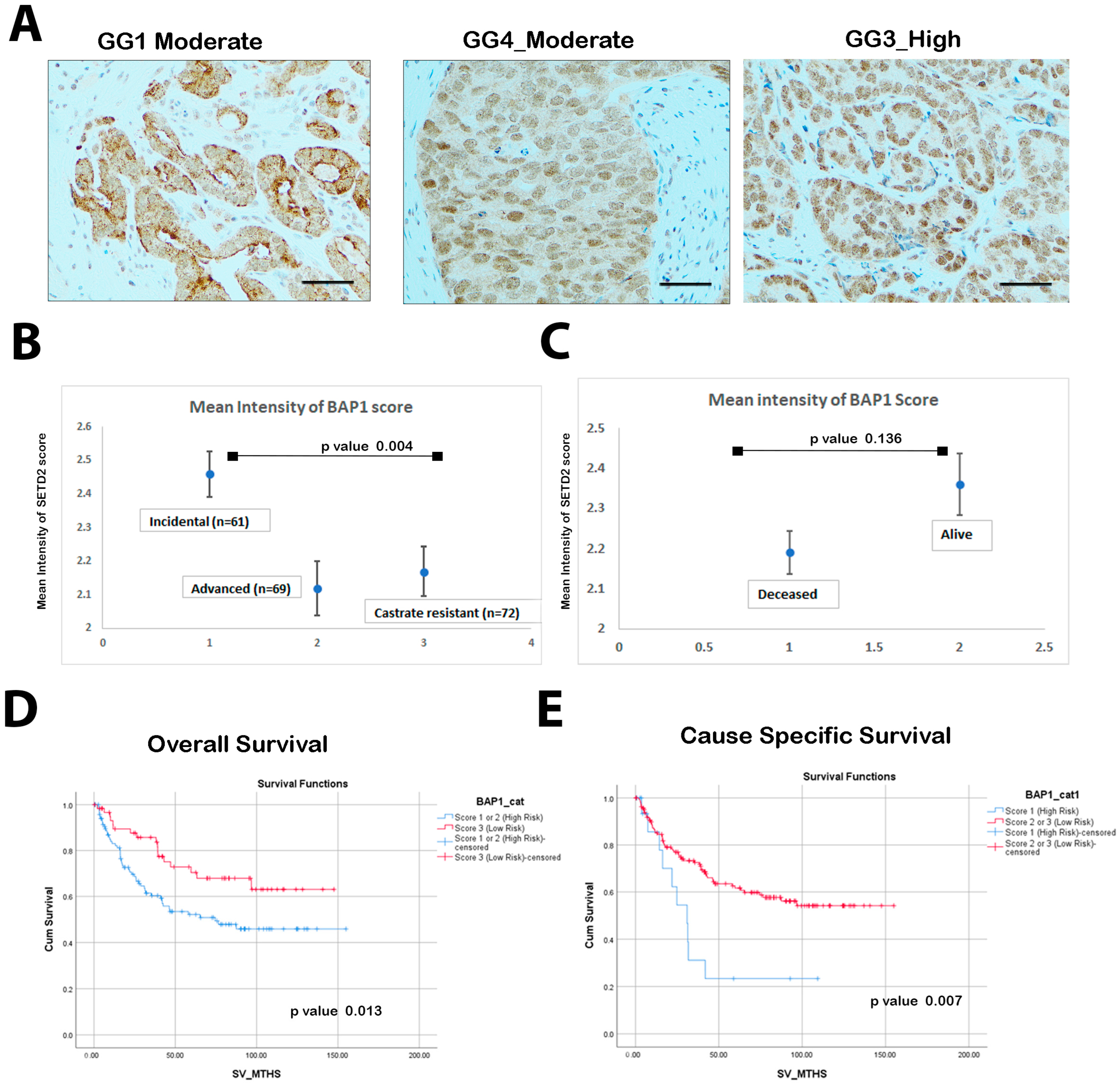 Biology 14 00315 g001