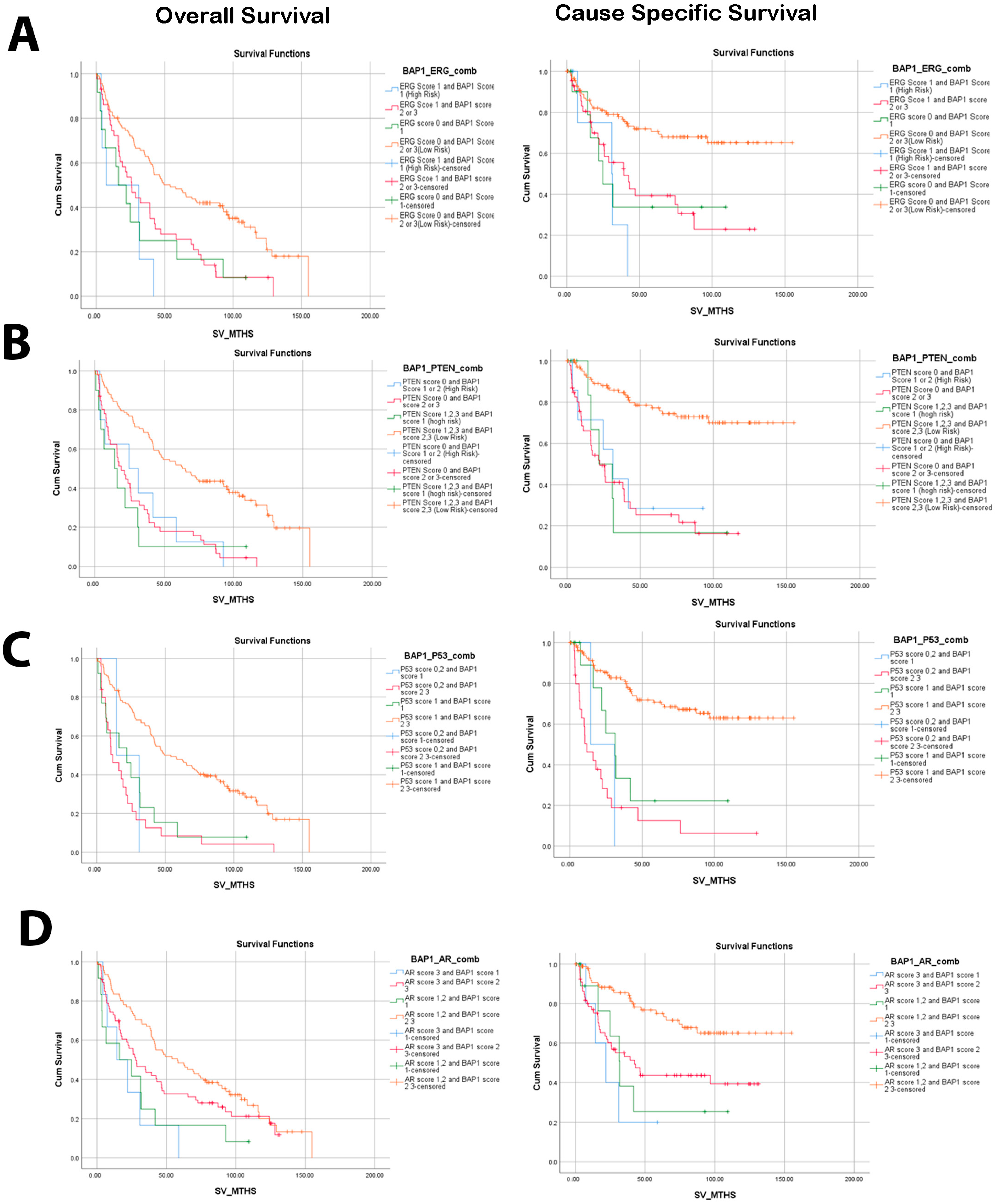 Biology 14 00315 g002