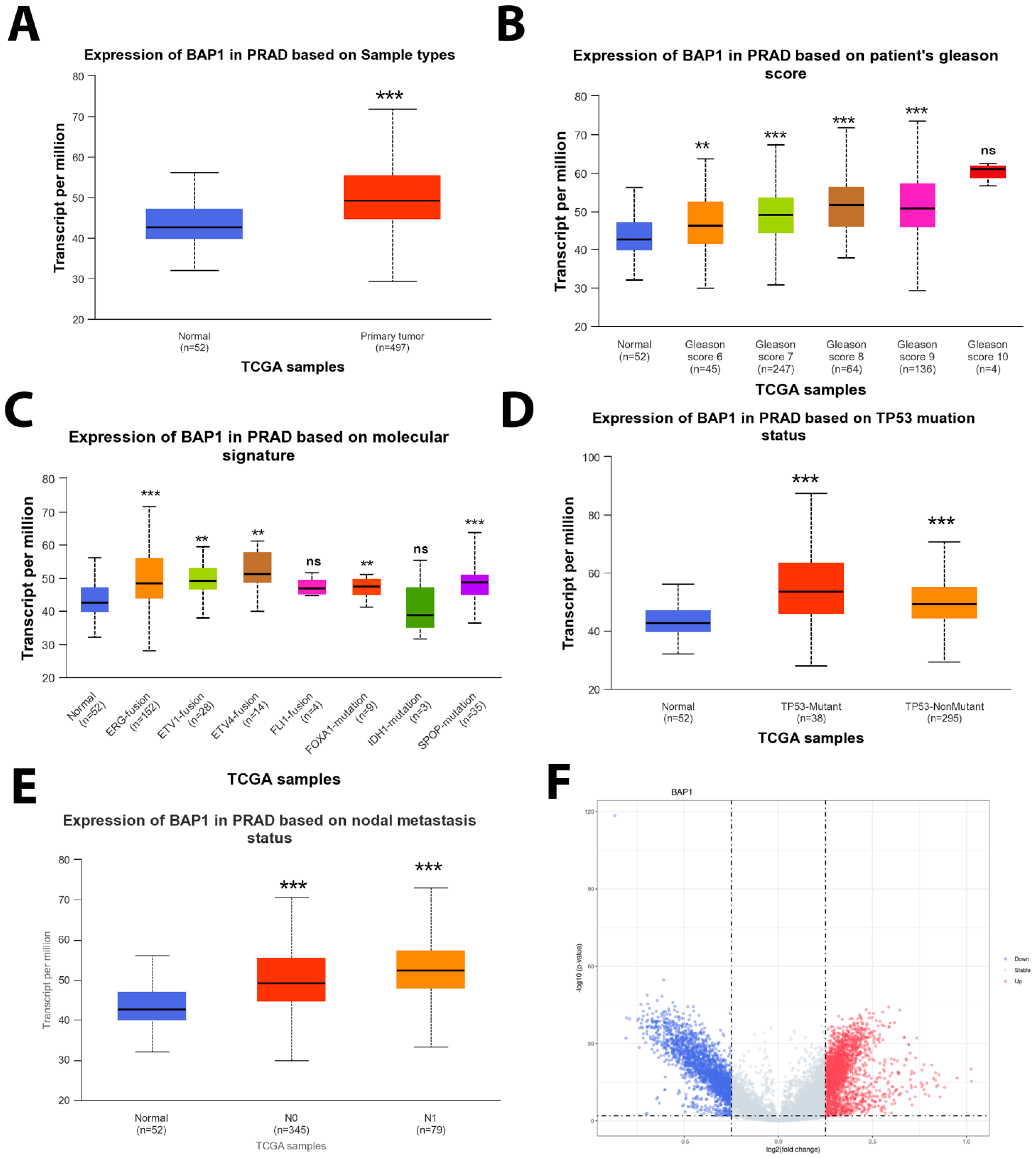 Biology 14 00315 g004
