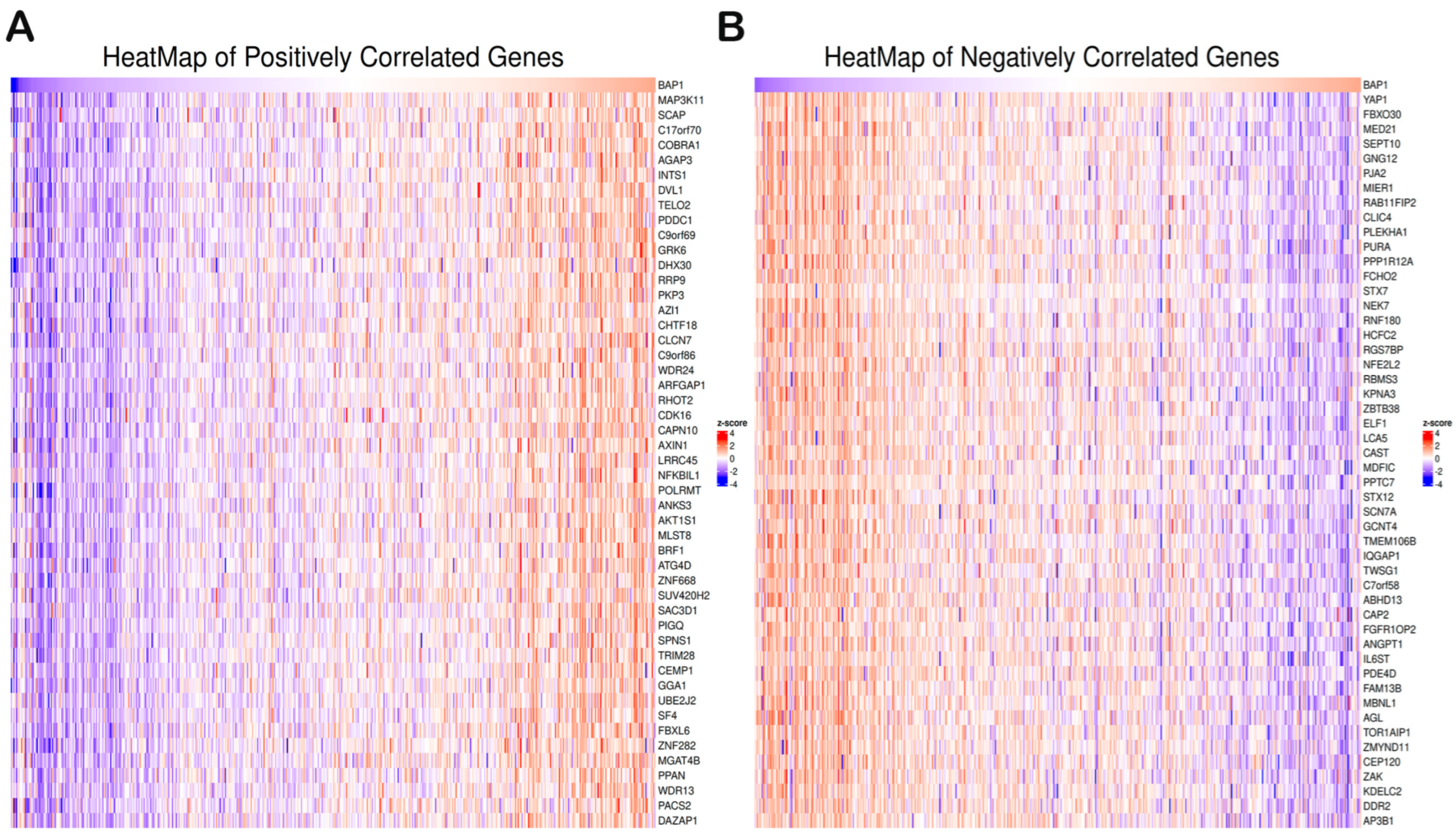 Biology 14 00315 g005