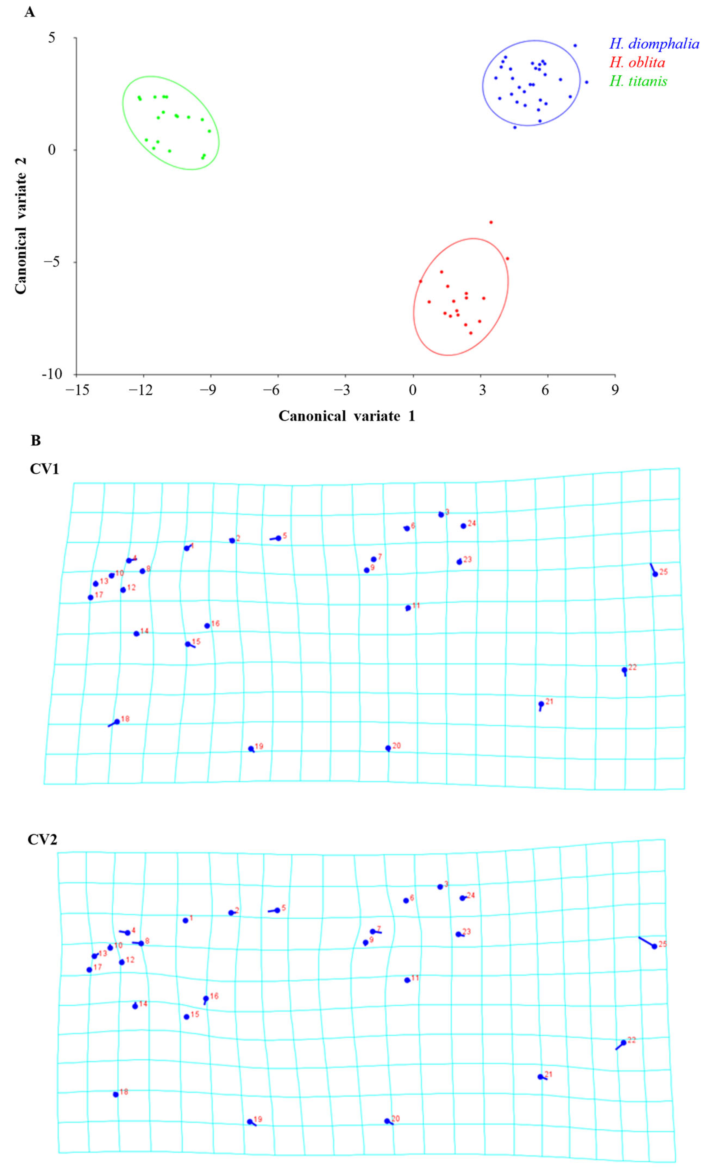 Biology 14 00317 g004