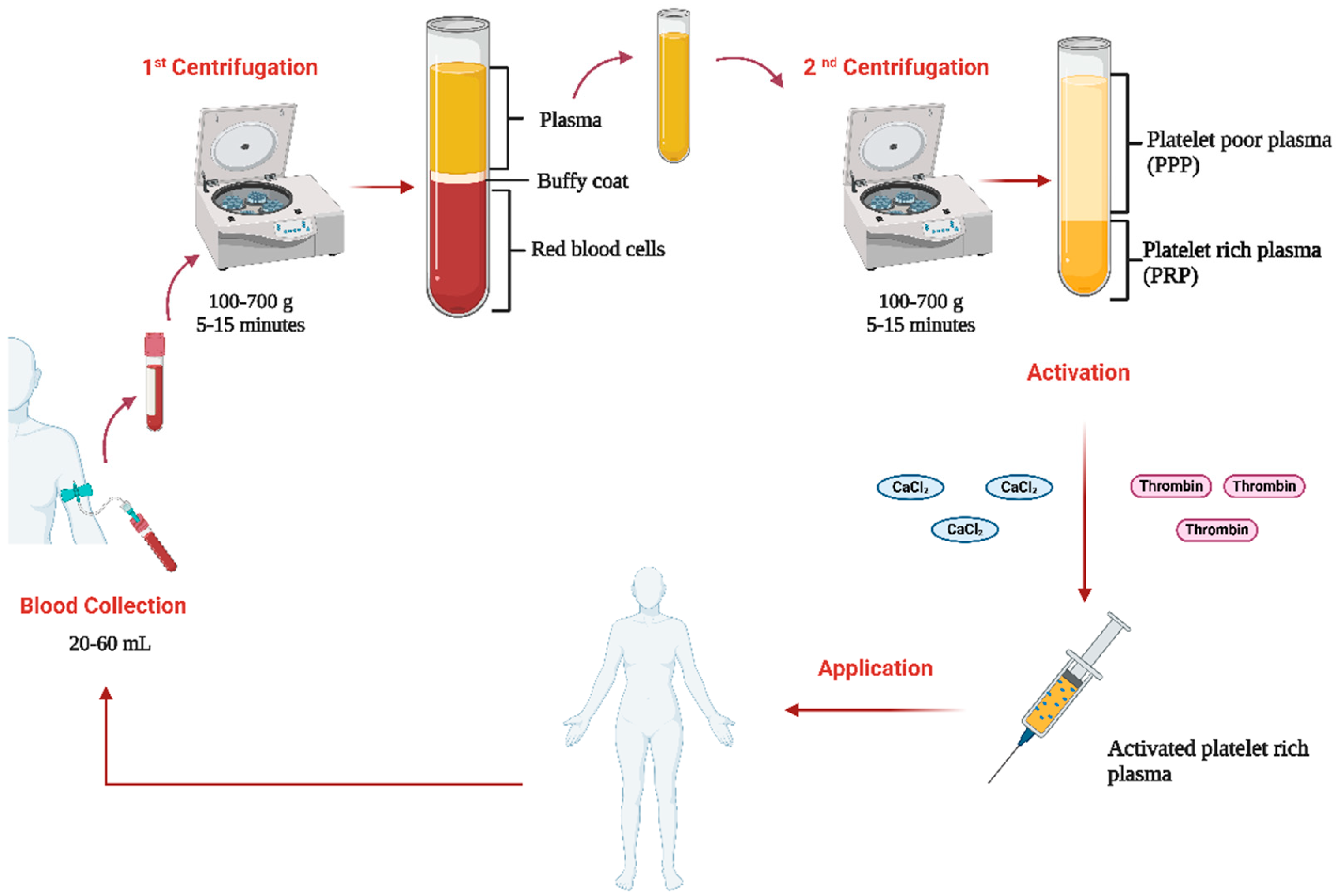 Biology 14 00319 g001