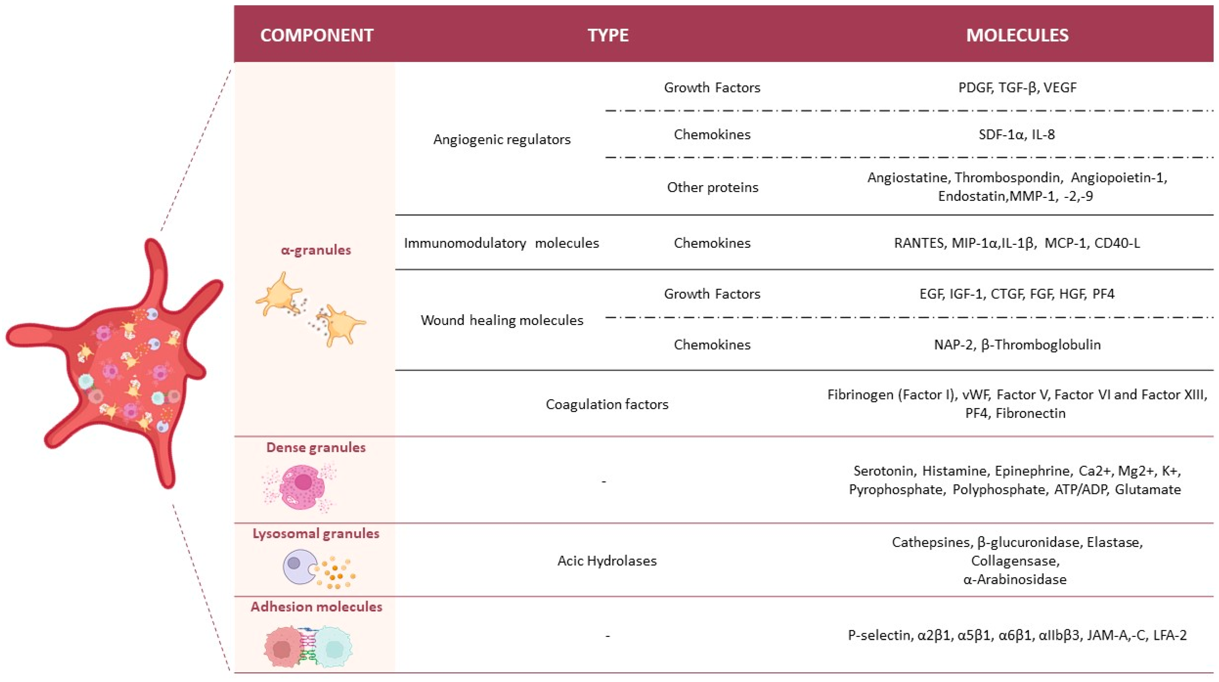 Biology 14 00319 g002